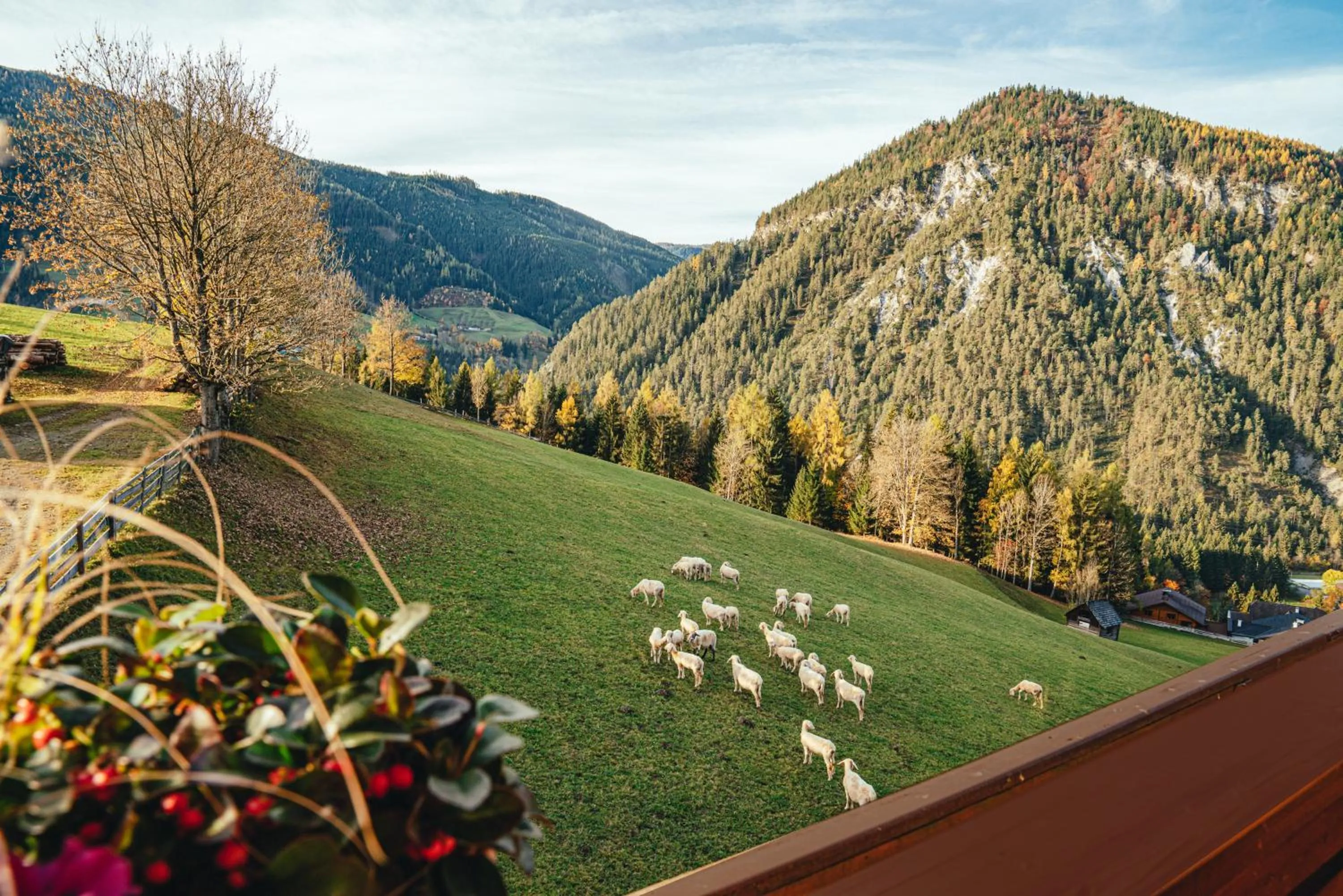 Natural landscape in Mittergruberhof