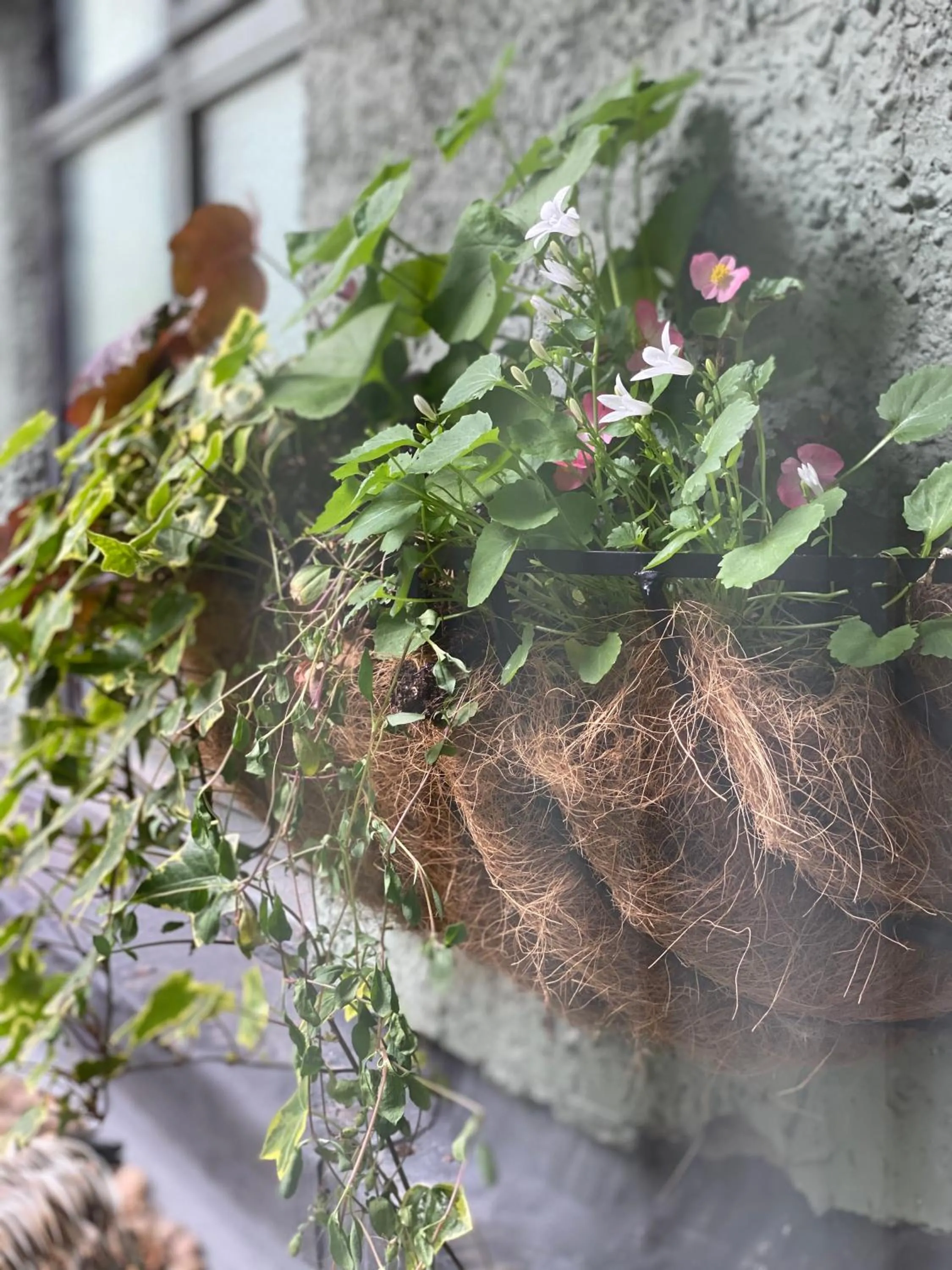 The Inn on the Moor Hotel