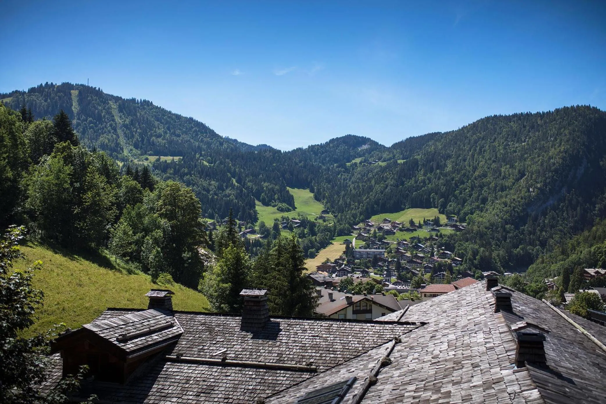 Summer in Hotel Beauregard