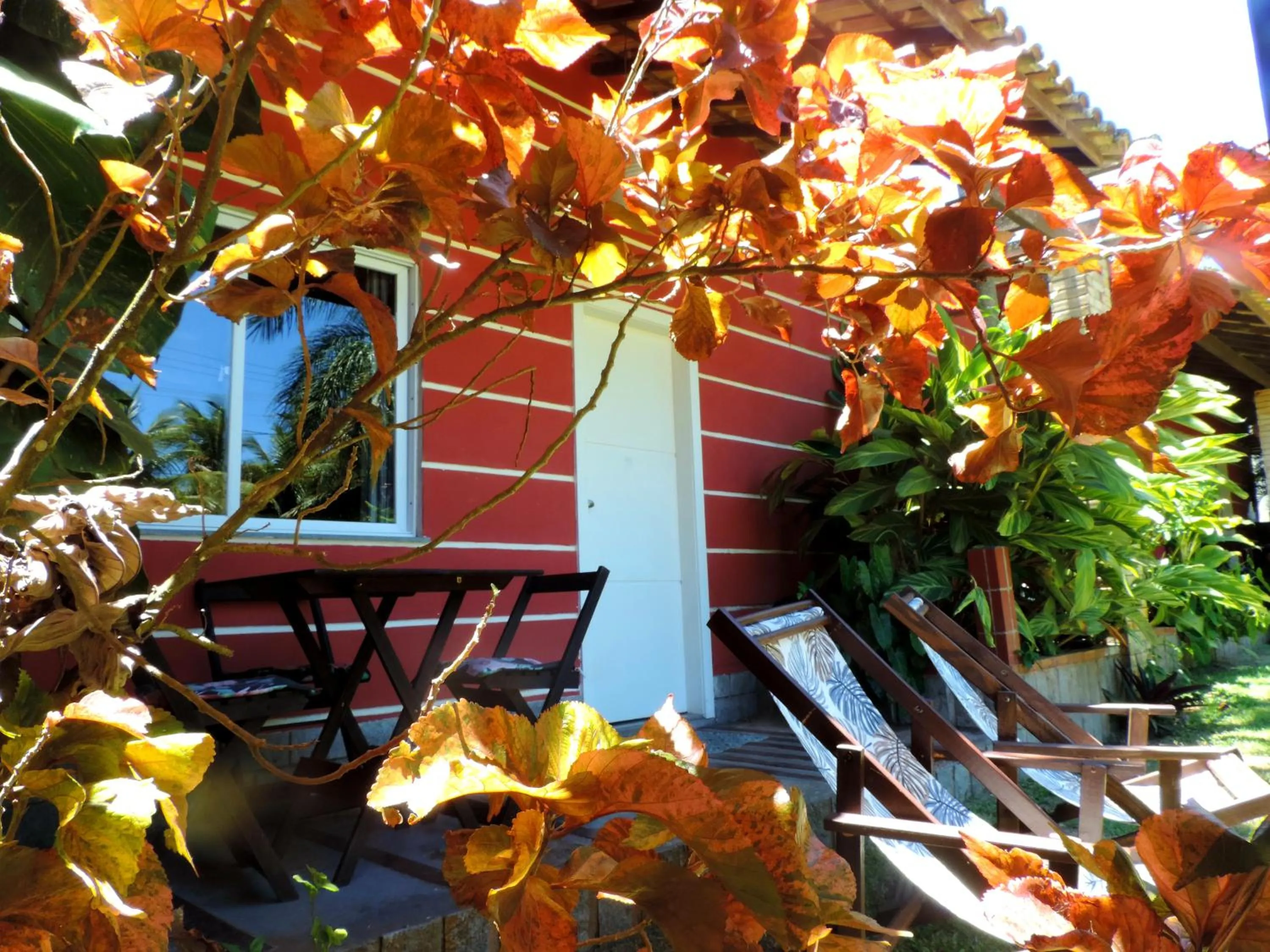 Balcony/Terrace in Bacana Hotel Boutique