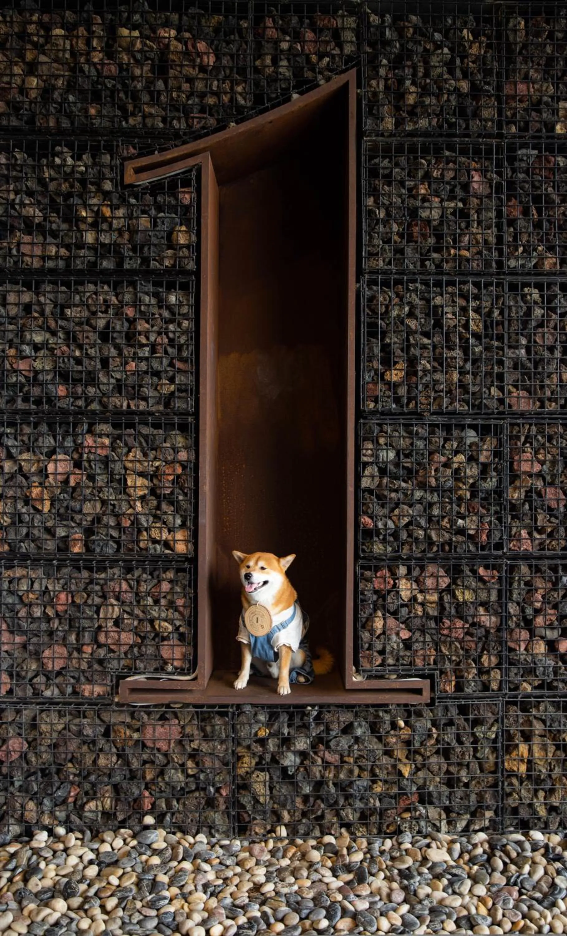 Pets in 1 Hotel Haitang Bay, Sanya