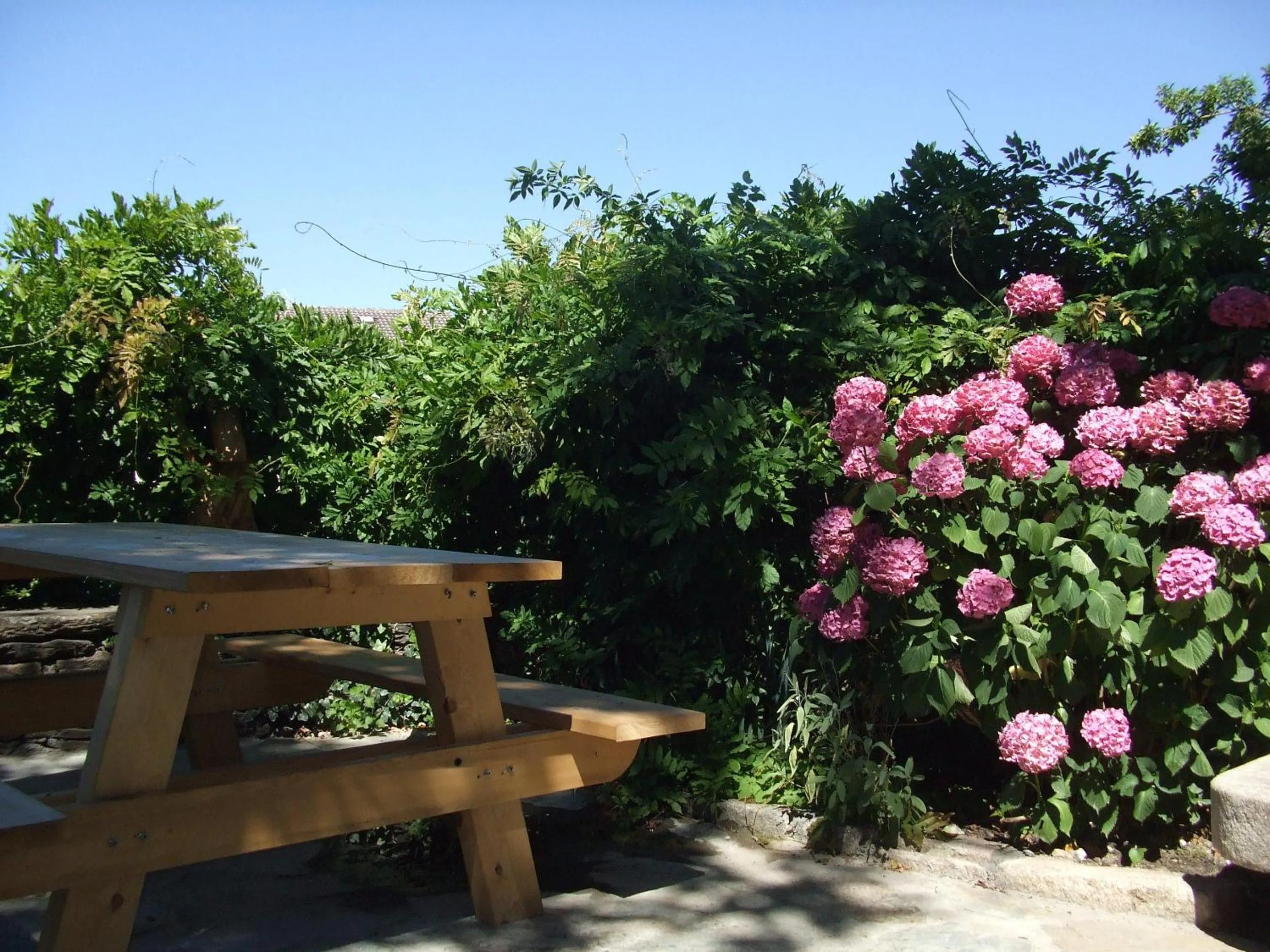 Garden in Obradoiro