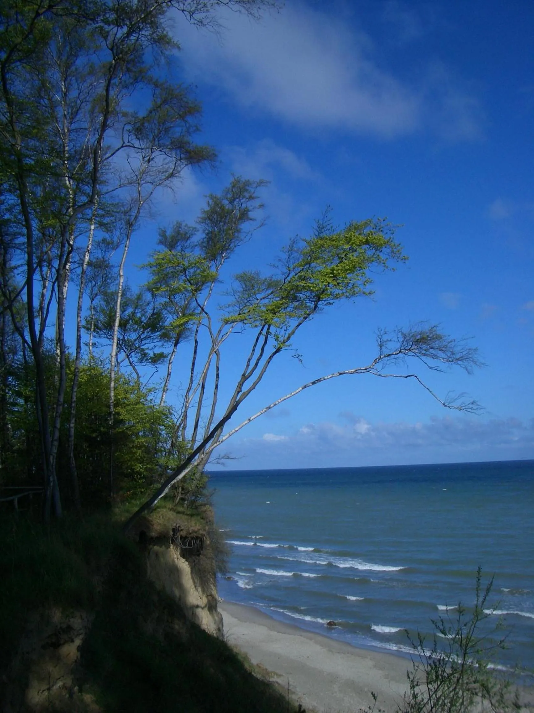 Spring in Hotel Wilhelmshöhe