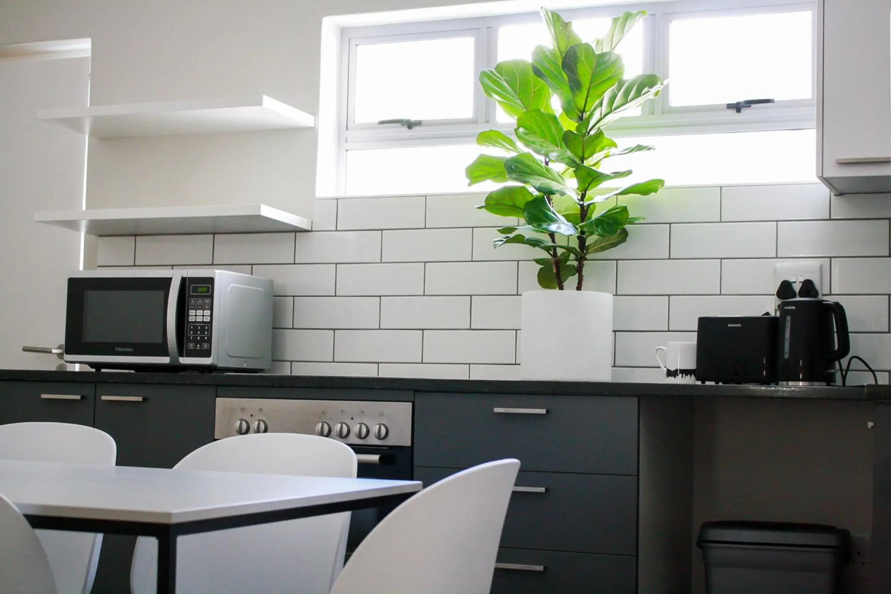 Bunk Bed in Male Dormitory in CURIOCITY Green Point Bunk Bed in Male Dormitory in CURIOCITY Green Point