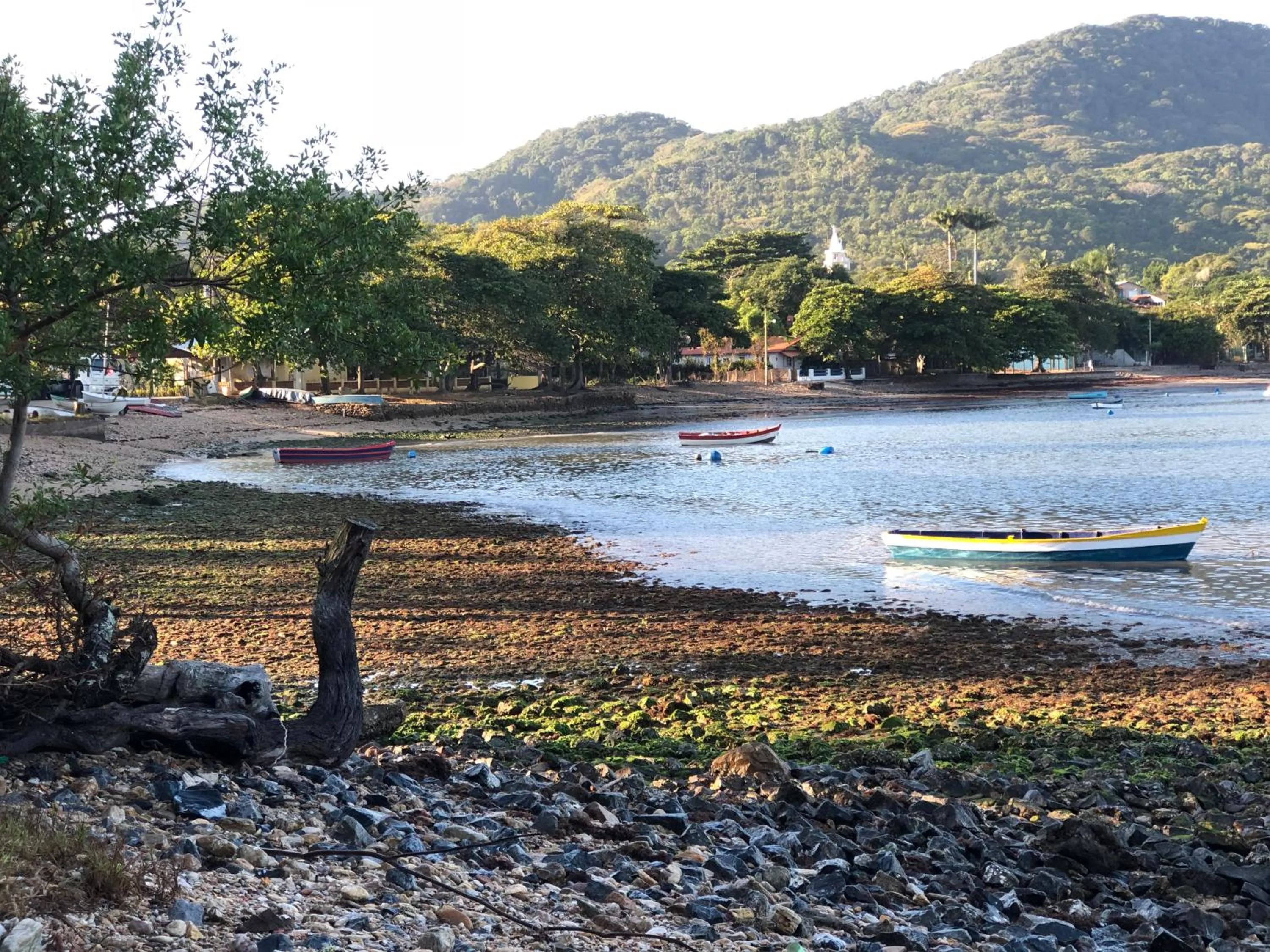 Natural landscape in Hotel Lorimar