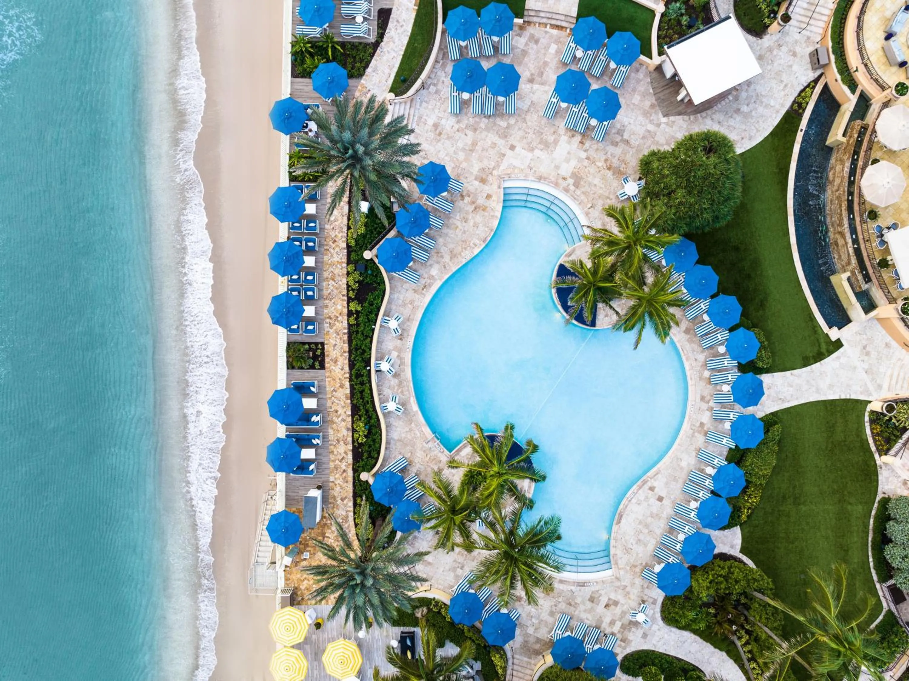 Swimming pool in Eau Palm Beach Resort & Spa