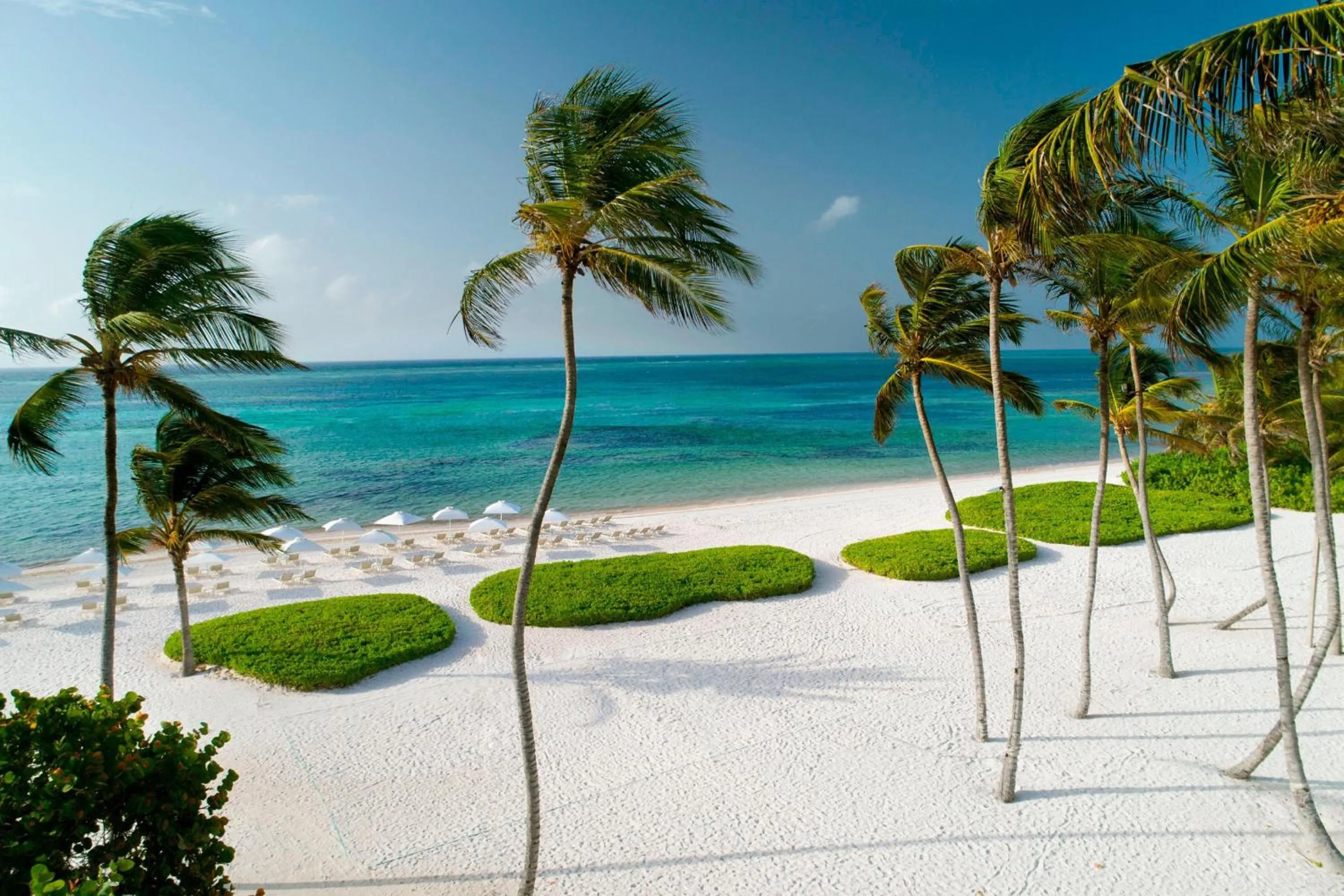Beach in The Westin Puntacana Resort