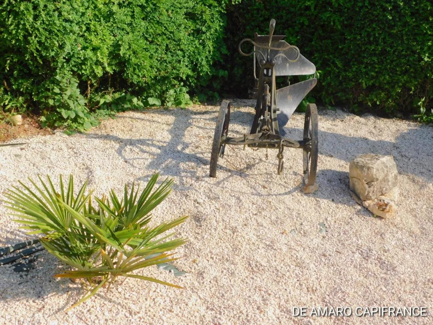 Garden in Le Puits de Garival