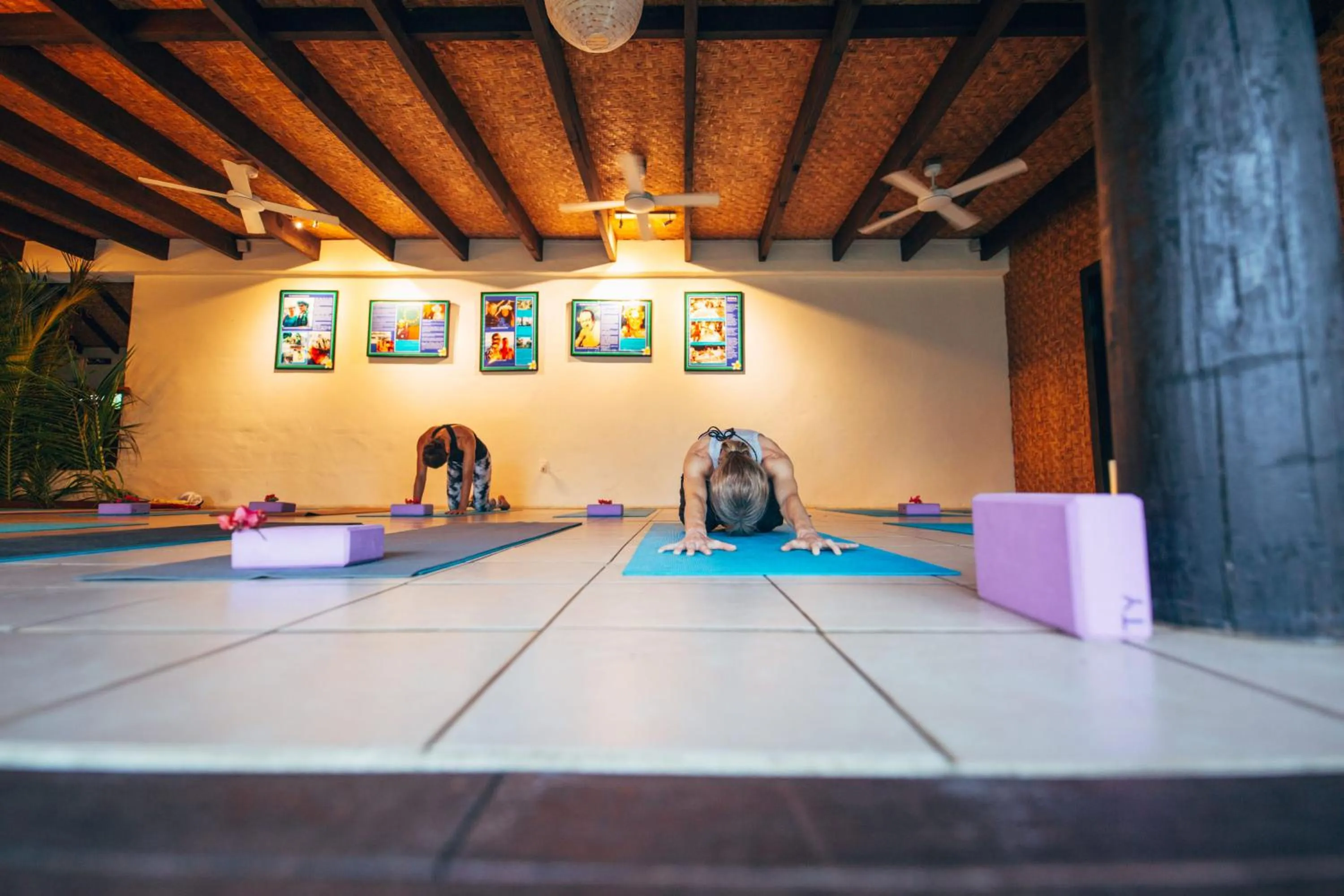 Activities in Tamanu Beach