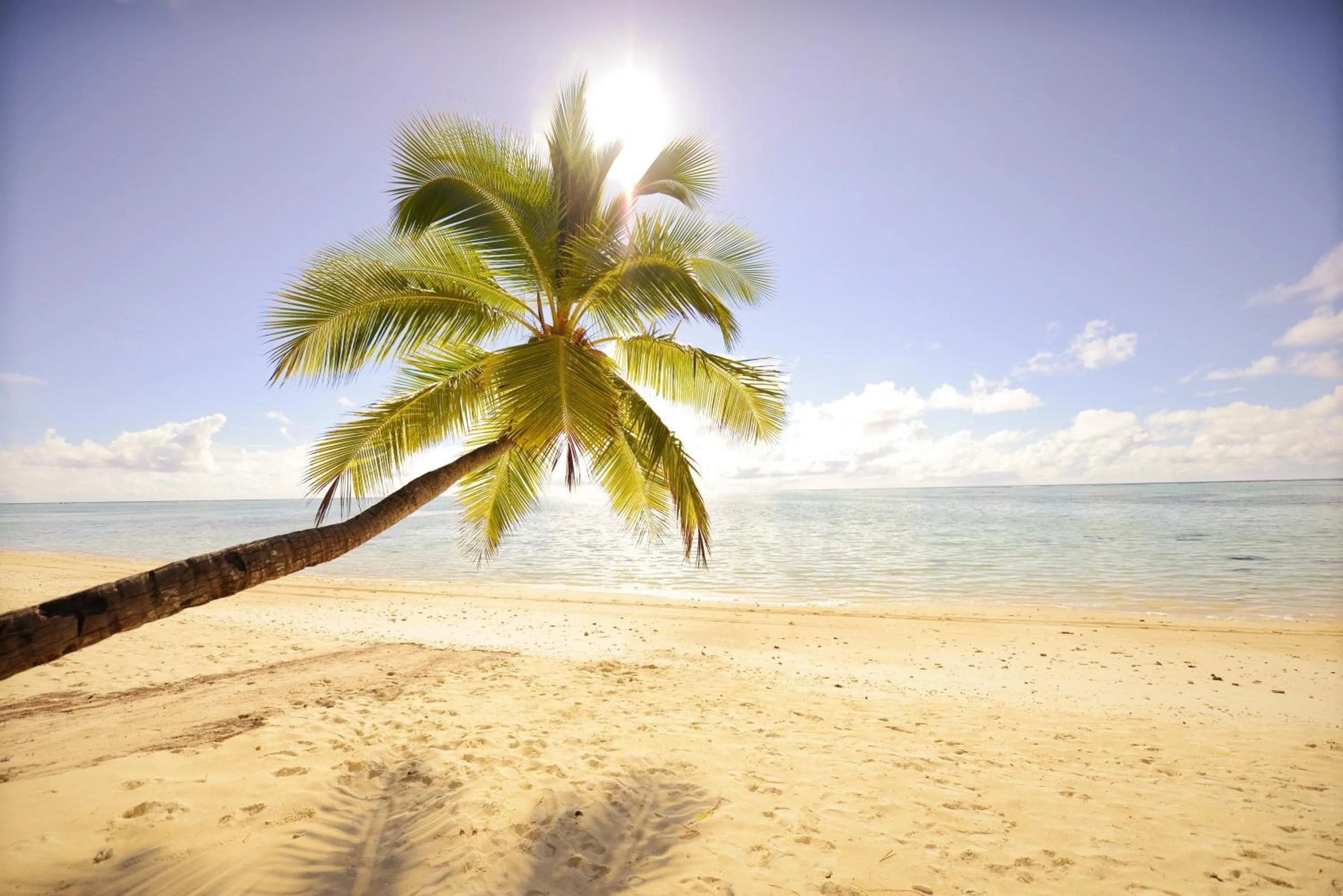Beach in Tamanu Beach