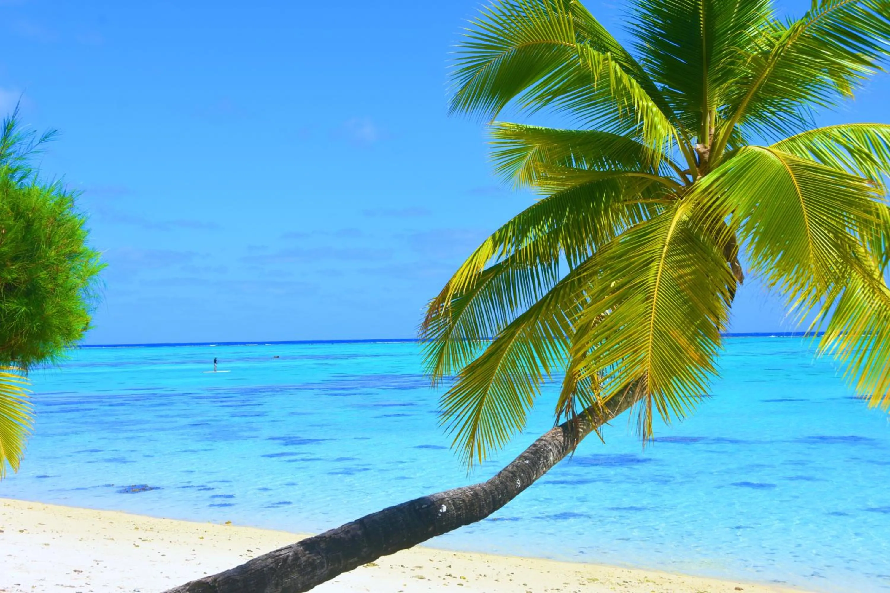 Beach in Tamanu Beach