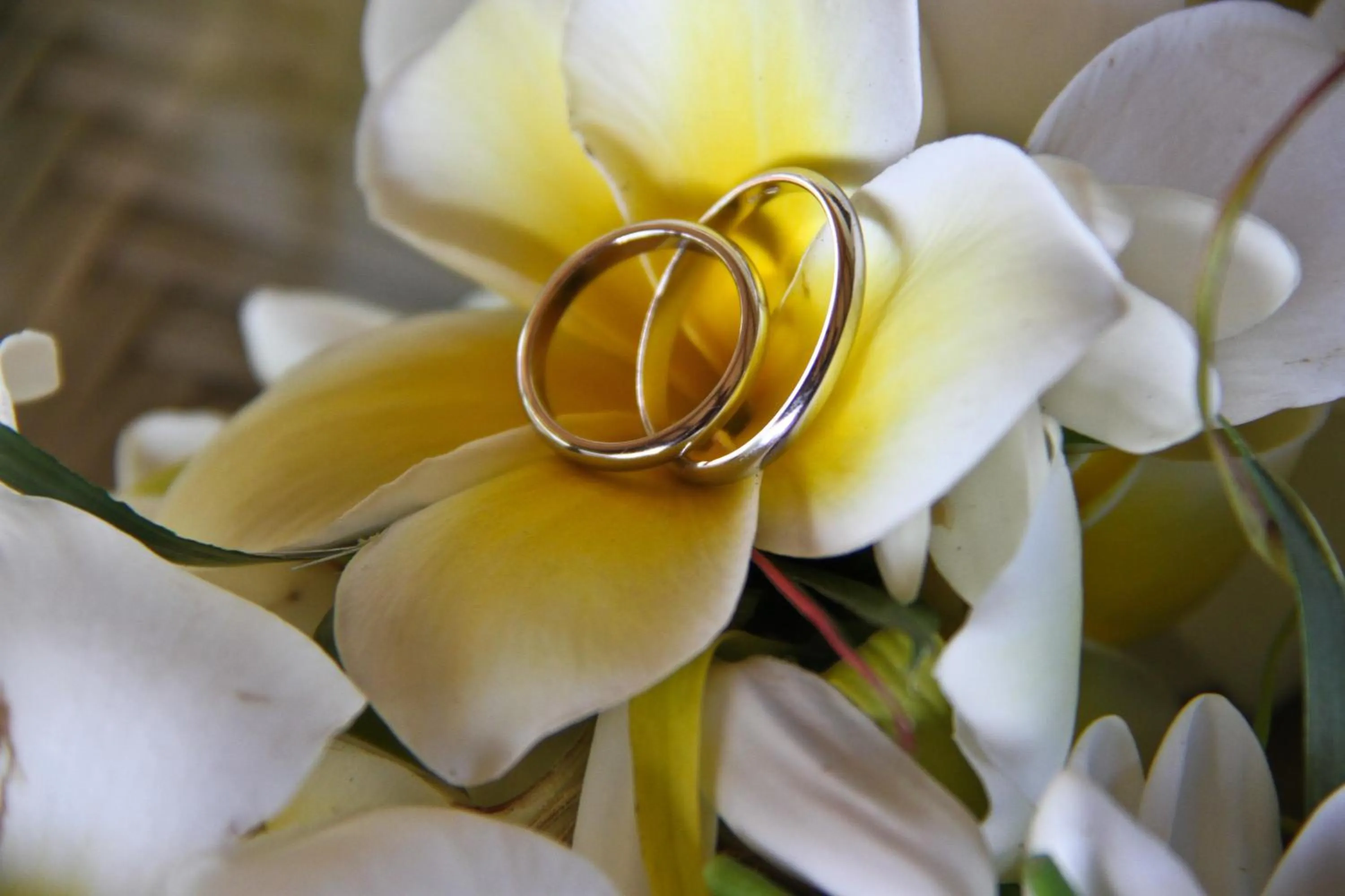 Banquet/Function facilities in Tamanu Beach