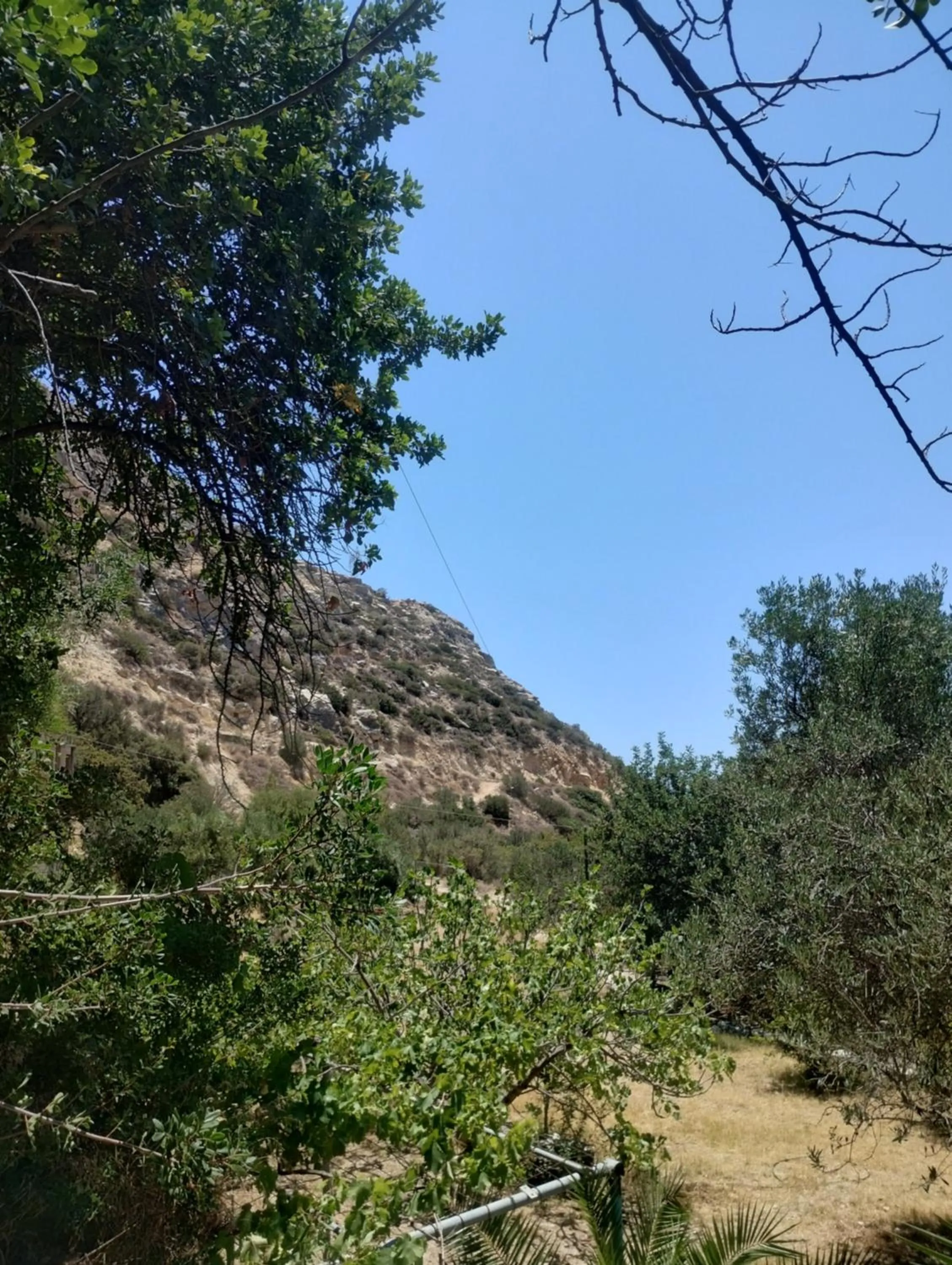 Oleander's Garden Traditional Cretan Cottage