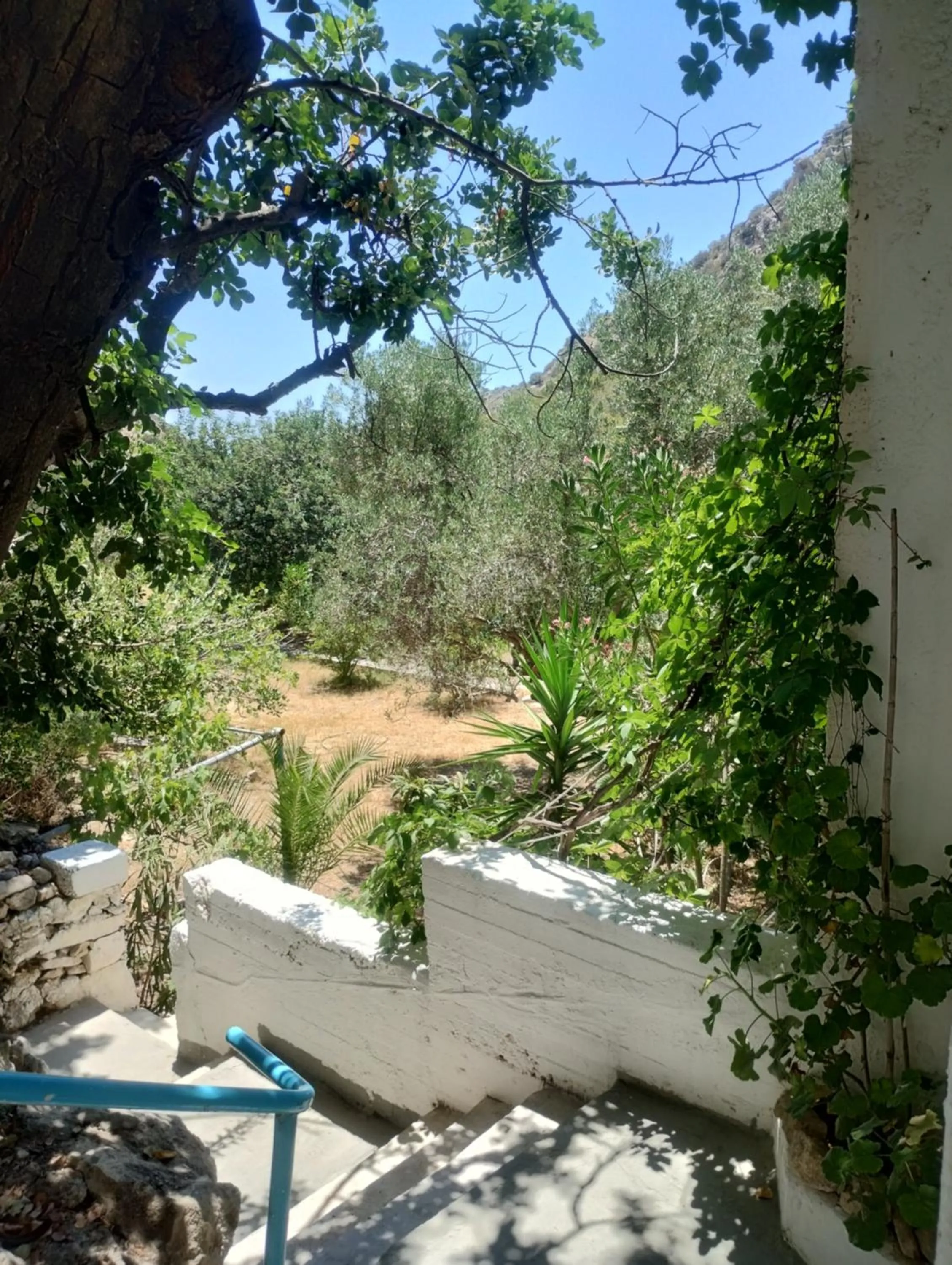 Oleander's Garden Traditional Cretan Cottage