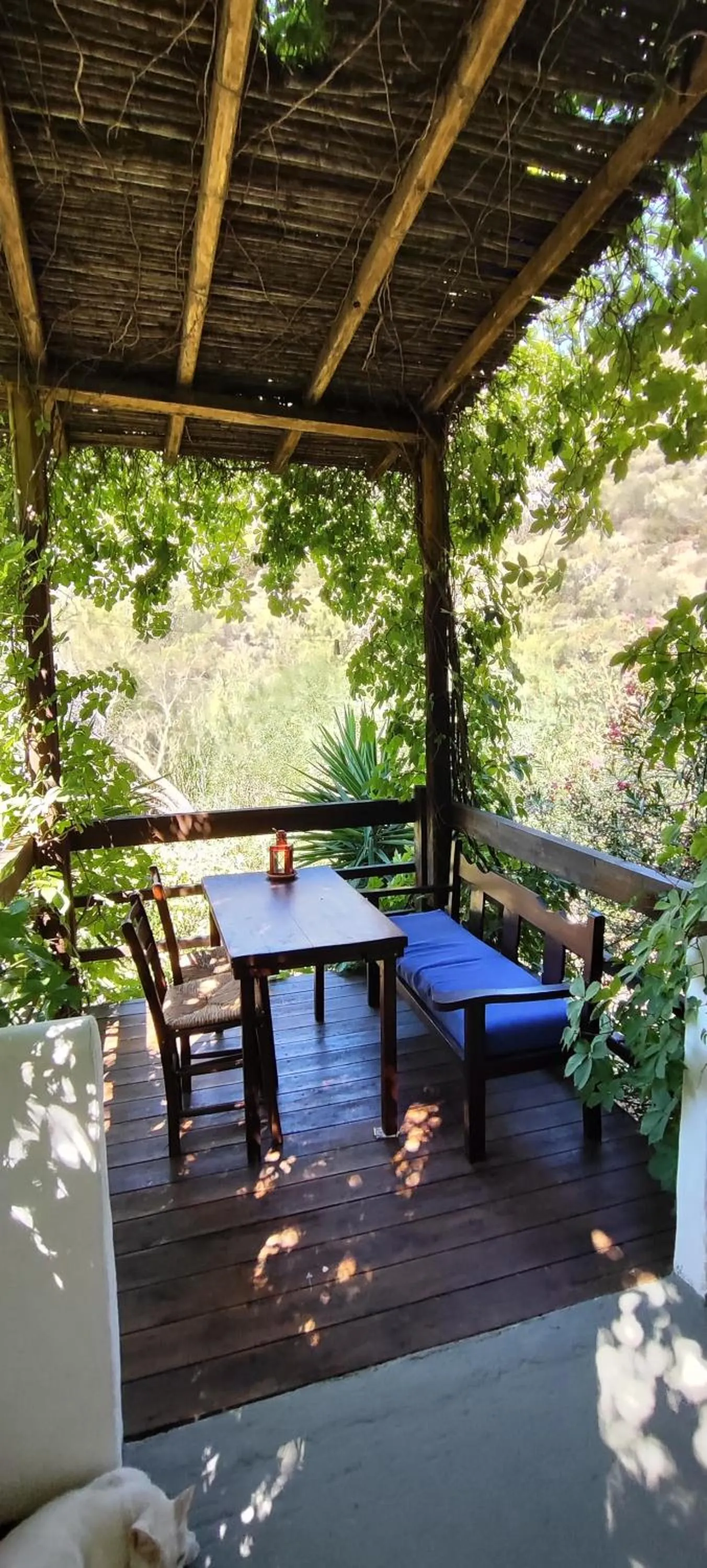 Oleander's Garden Traditional Cretan Cottage