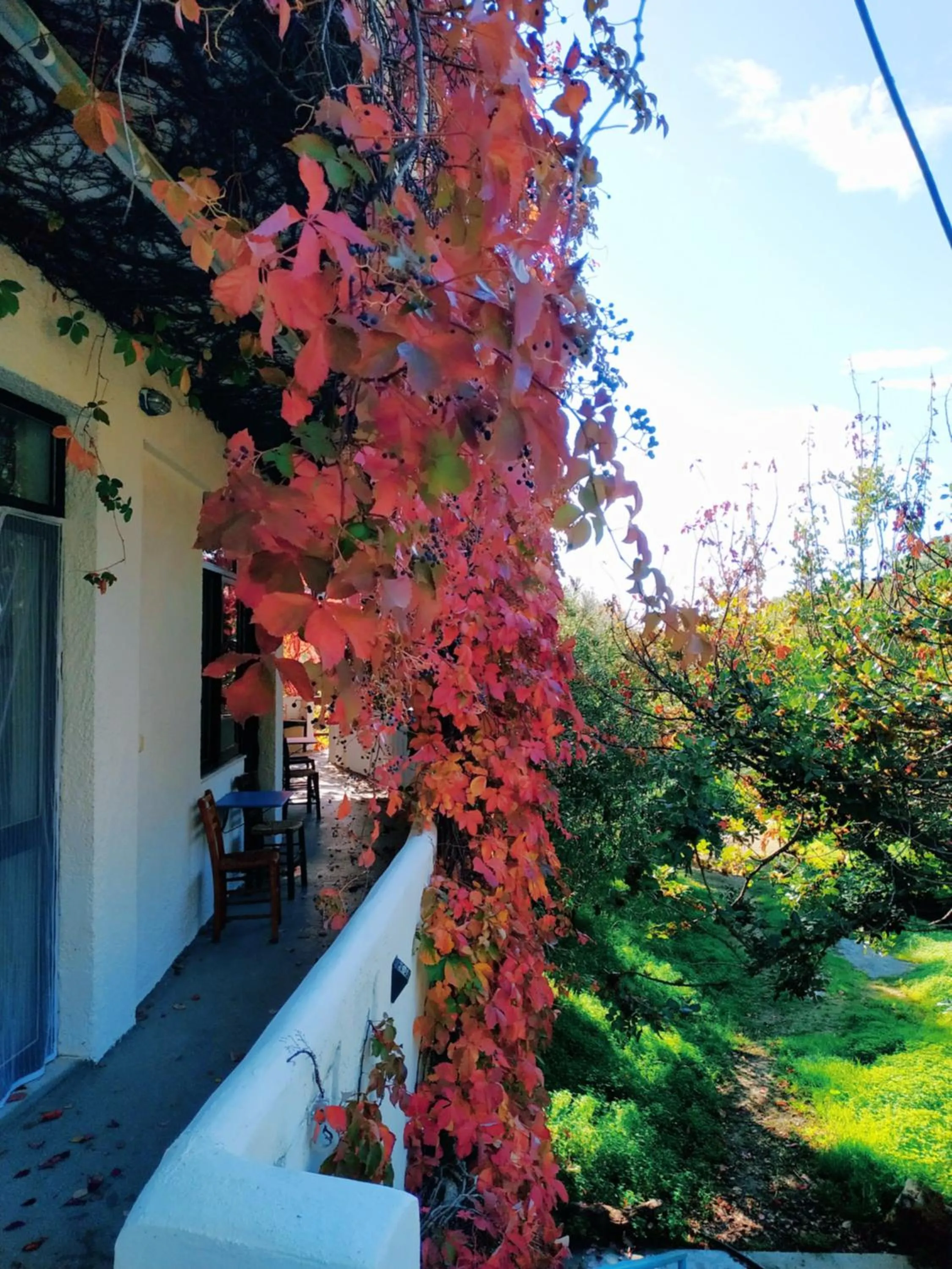 Oleander's Garden Traditional Cretan Cottage