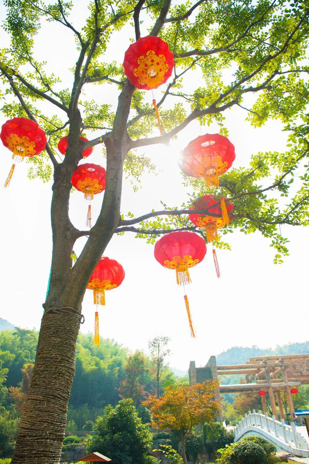 Natural landscape in Le Meridien Yixing Hotel