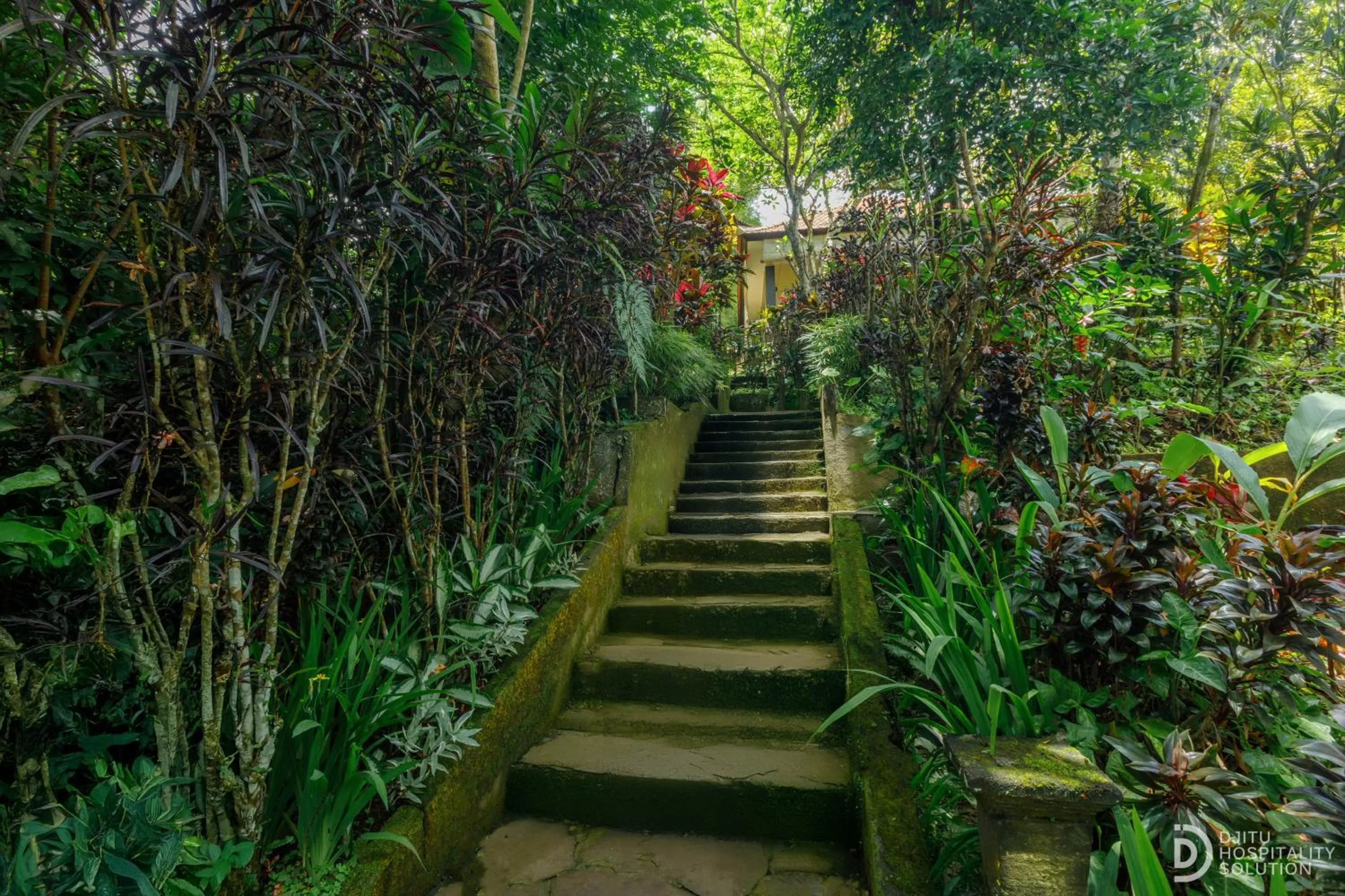 Street view in Taman Indrakila