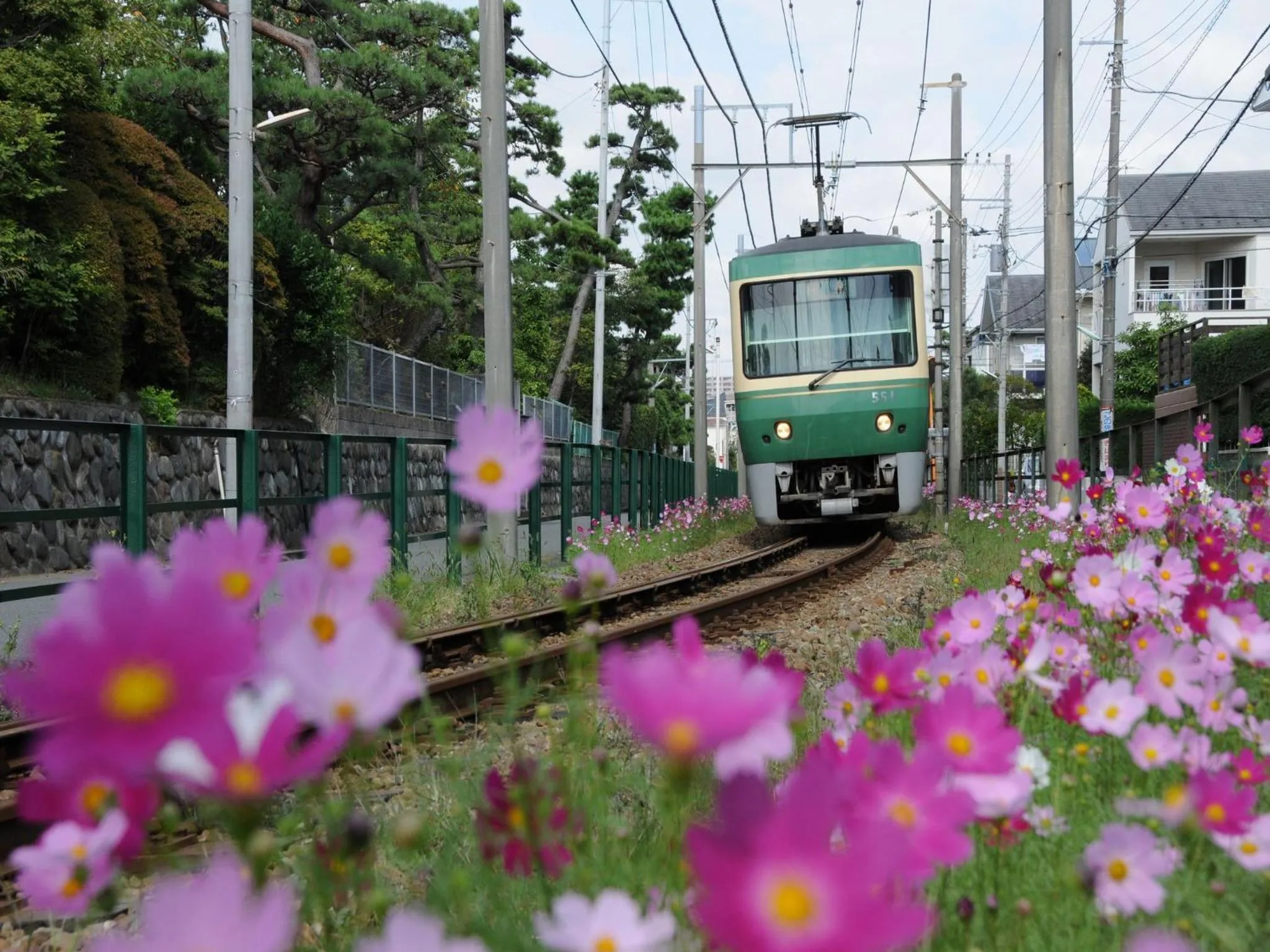 Nearby landmark in Sotetsu Fresa Inn Fujisawa Shonandai