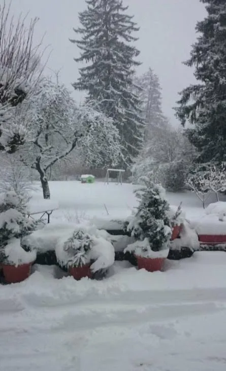 Natural landscape in A la Grenouille du Jura - Chambres d'Hôtes de Charme Oyonnax Nantua