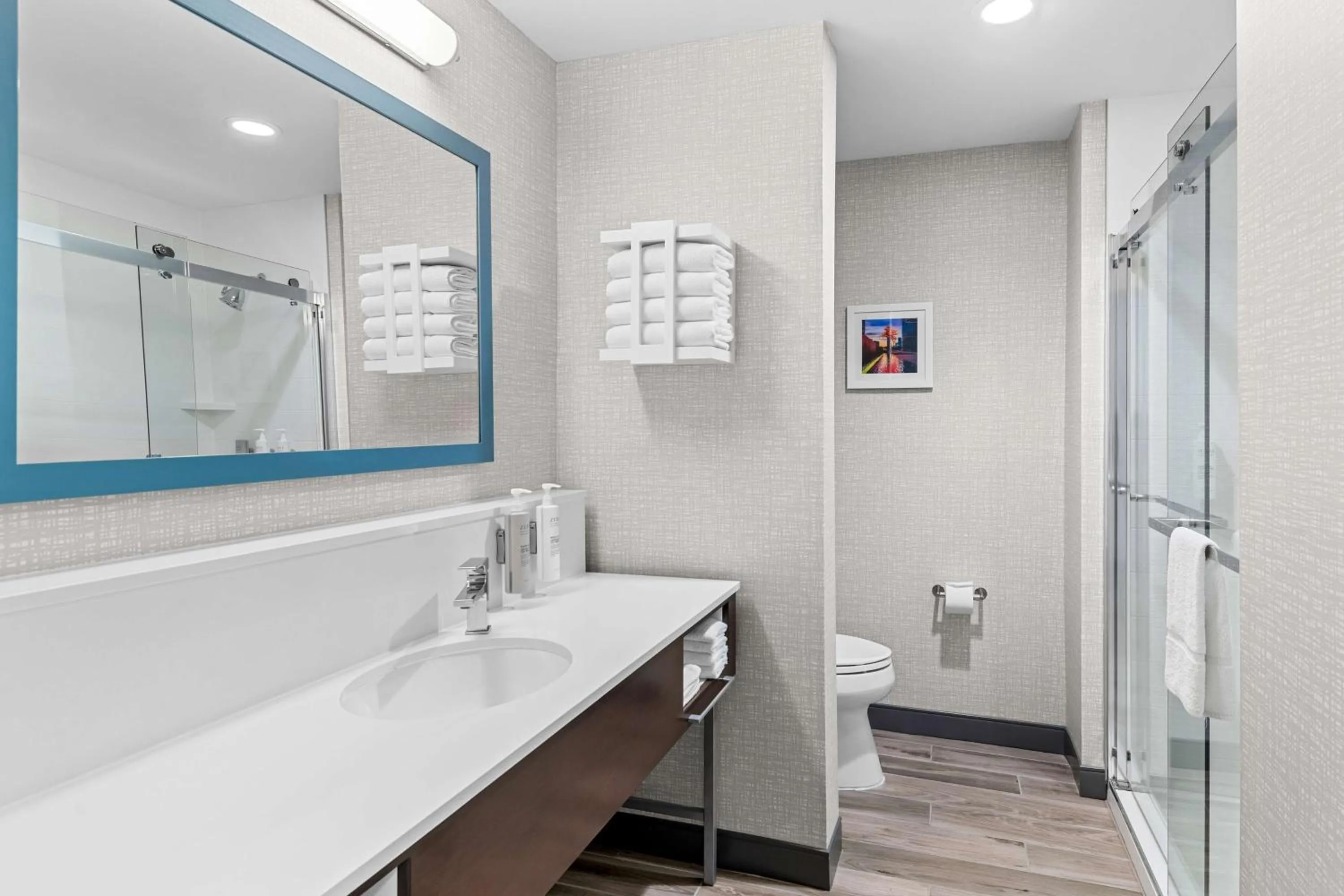 Bathroom in Hampton Inn & Suites Dallas - Farmers Branch