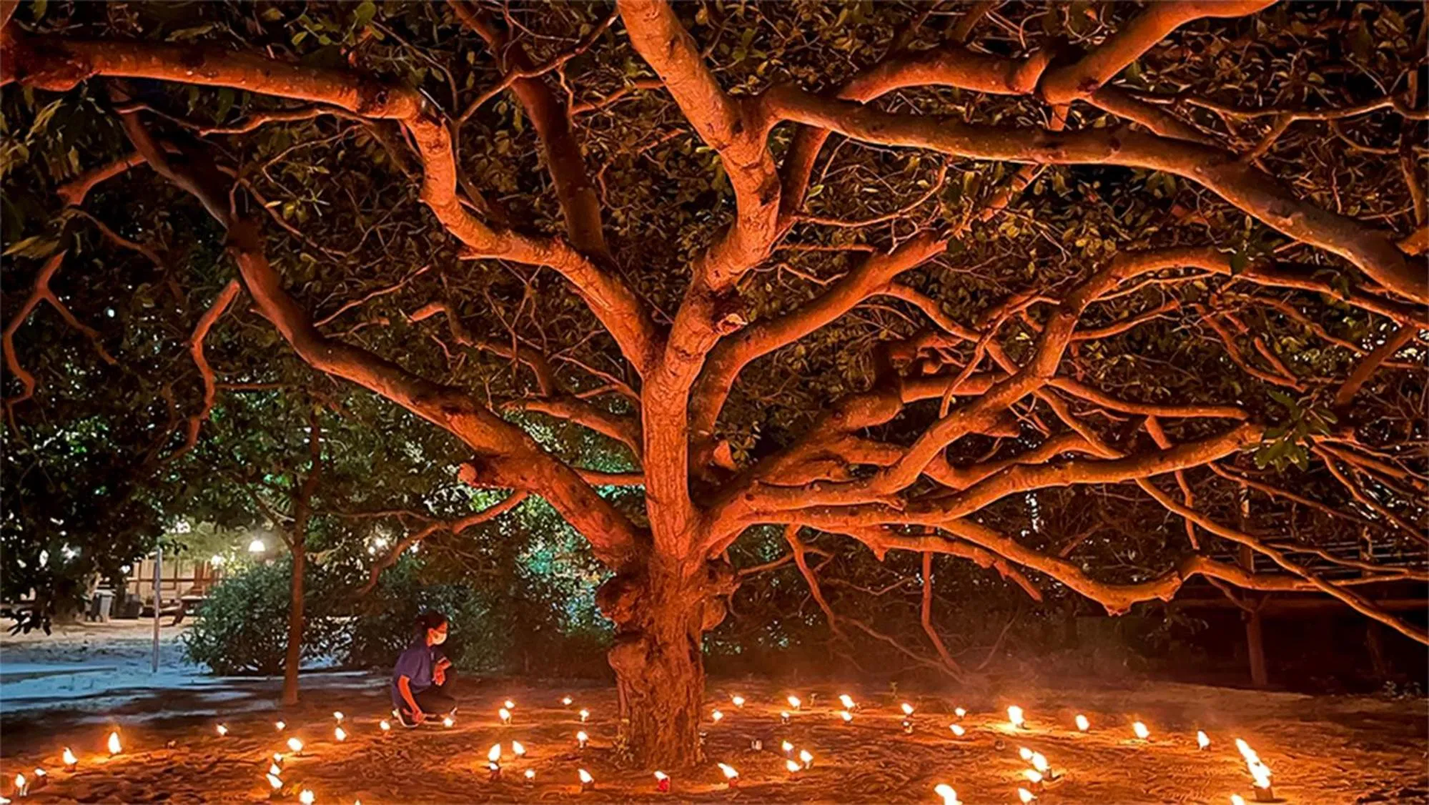 Night in Peam Snea Resort