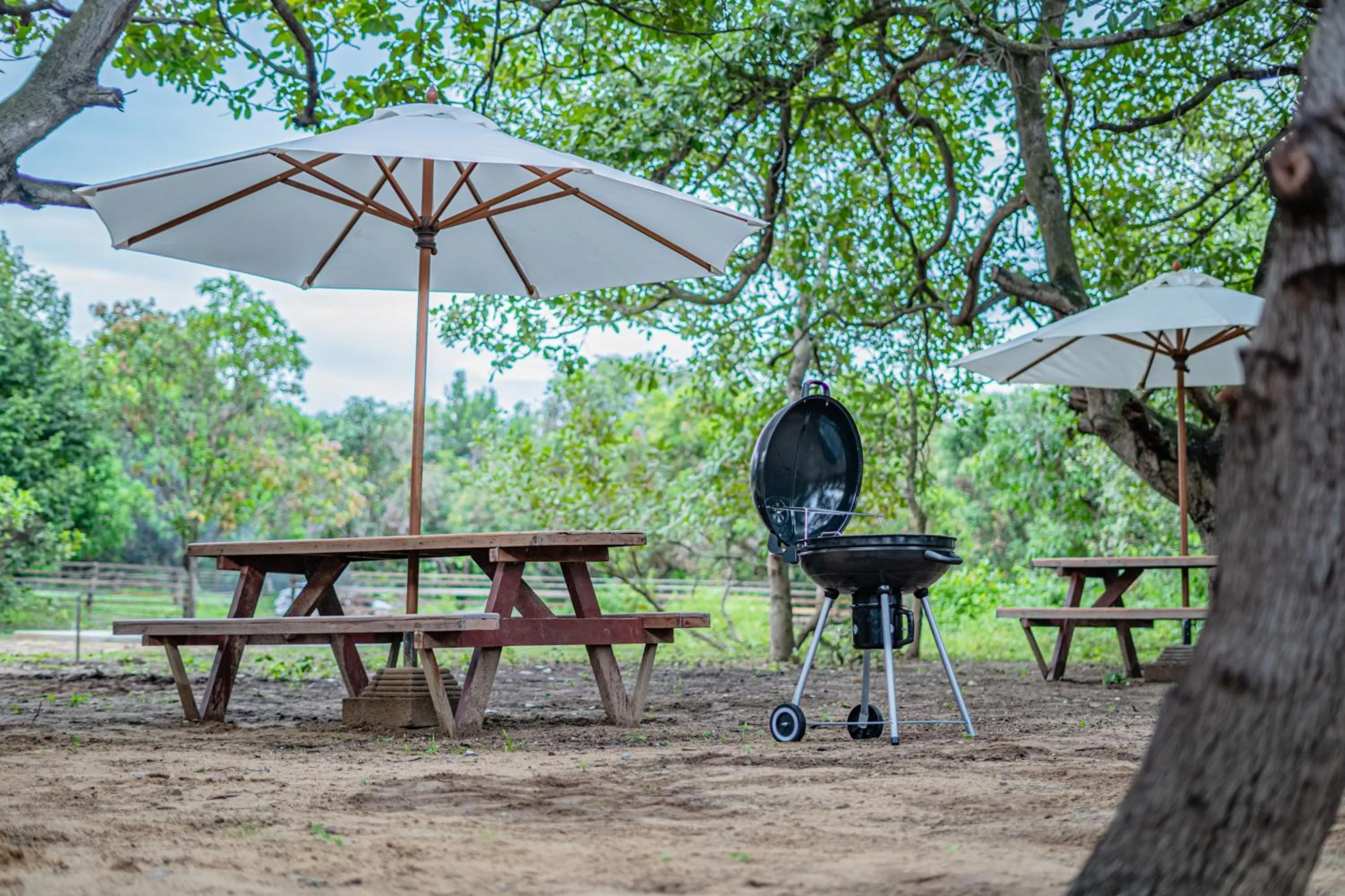 Property building in Peam Snea Resort