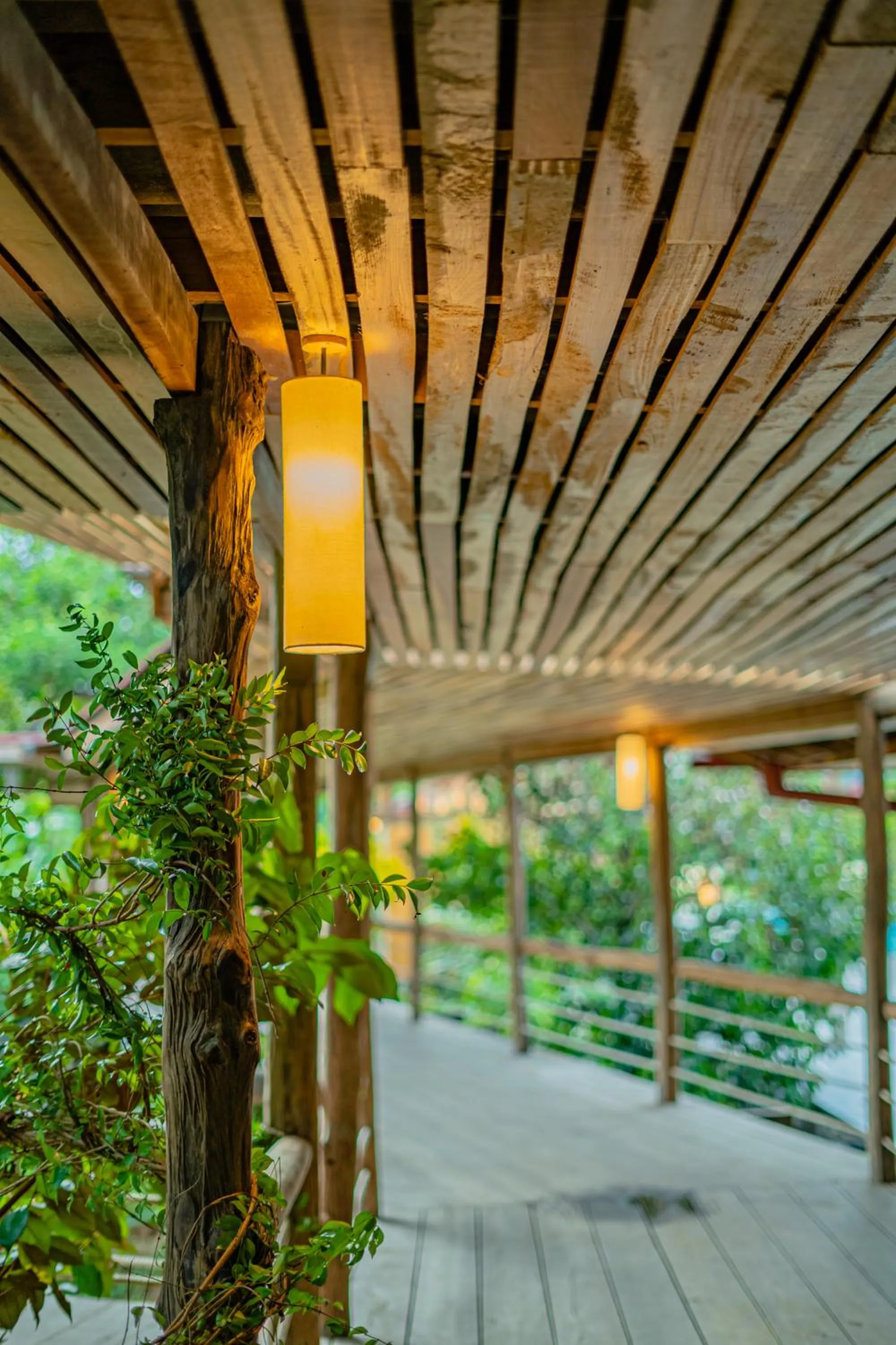 Property building in Peam Snea Resort