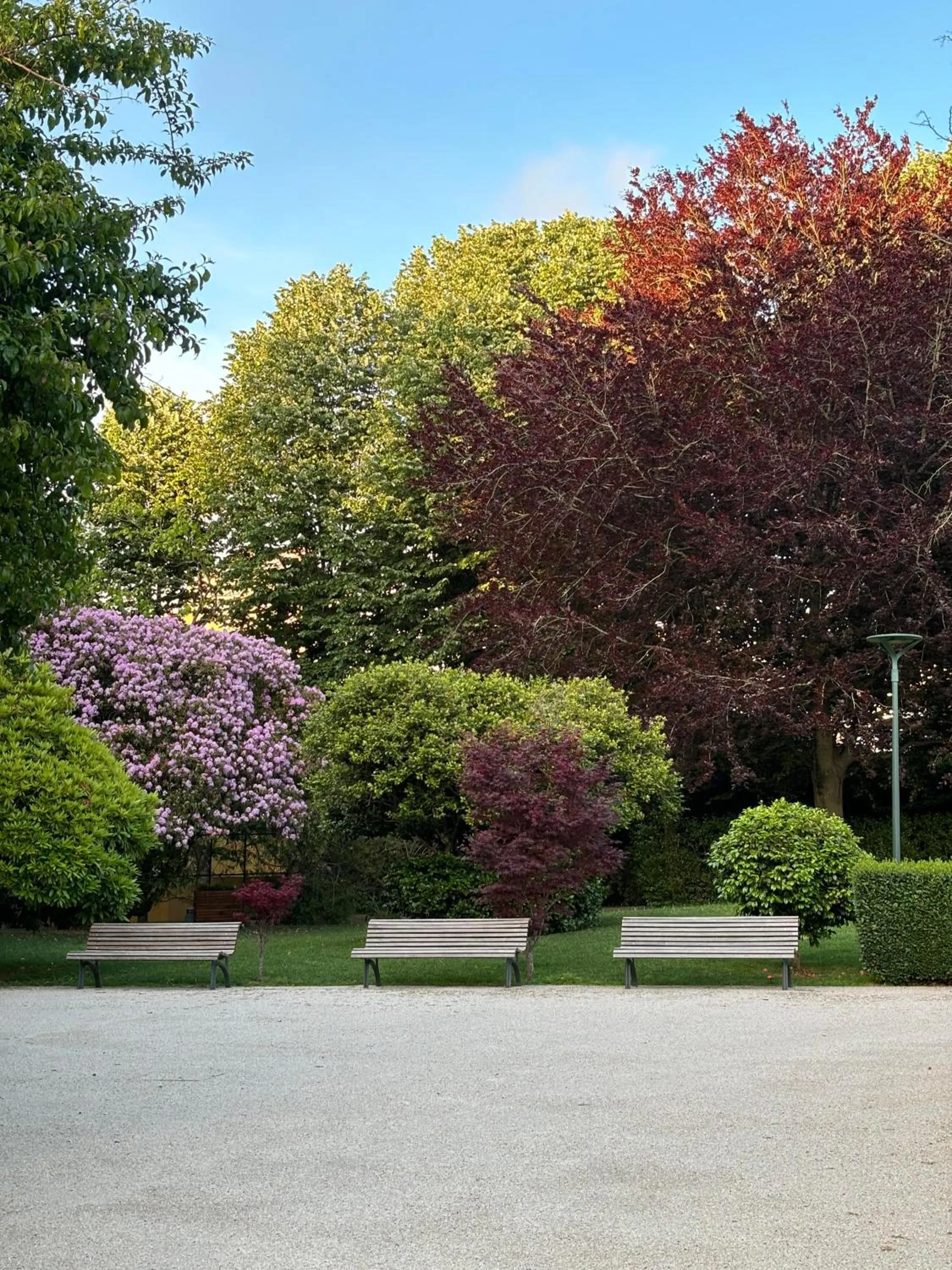 Garden in Boeira Garden Hotel Porto Gaia, Curio Collection by Hilton