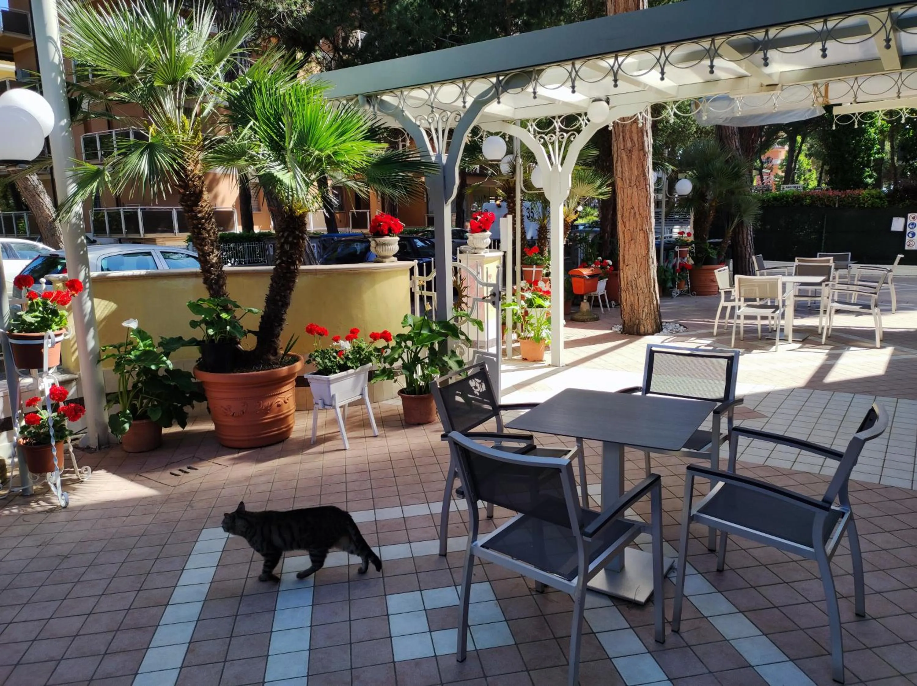 Patio in Hotel Arlecchino