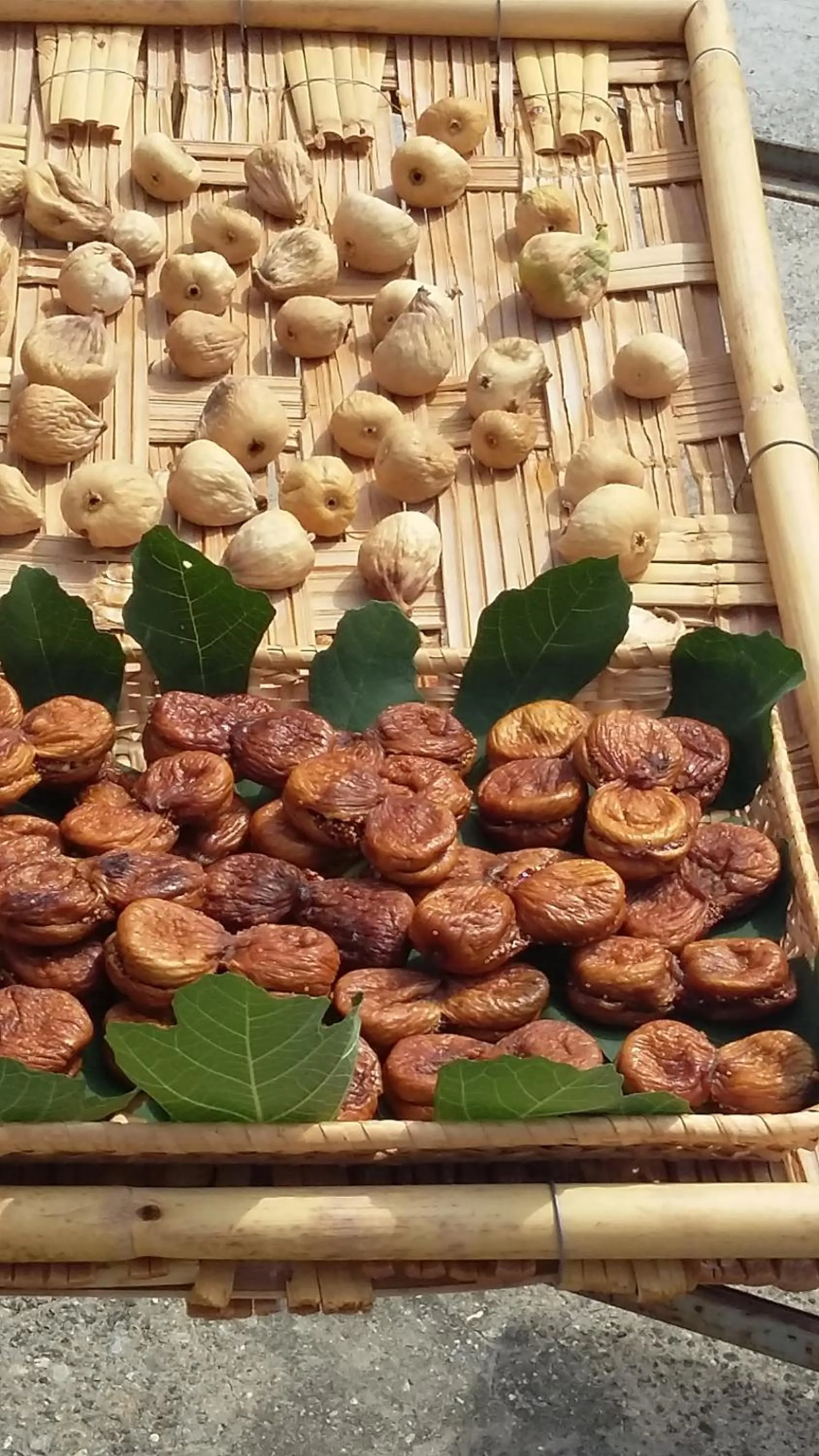 Food close-up in Montagne Rocciose