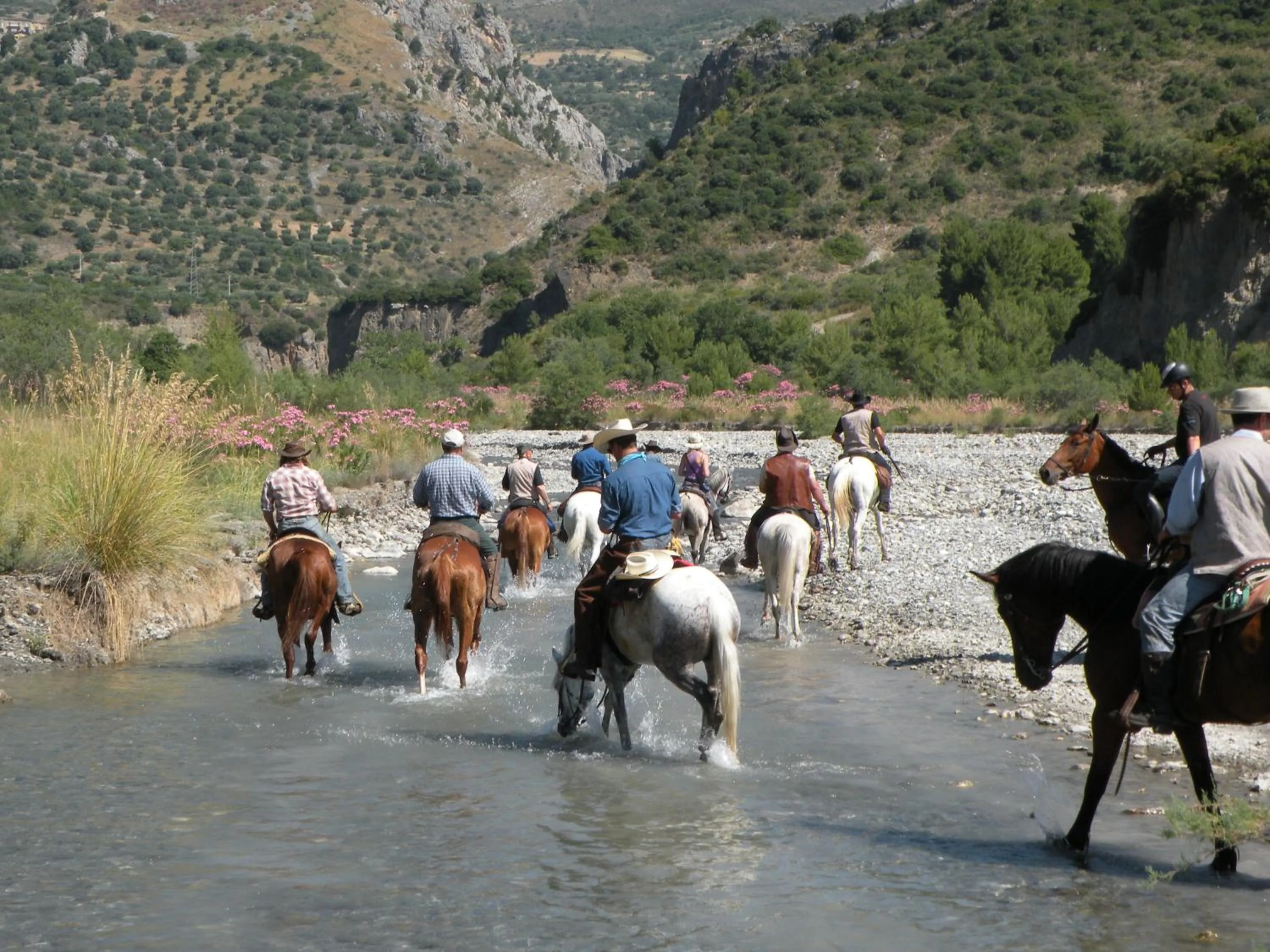 Natural landscape in Montagne Rocciose