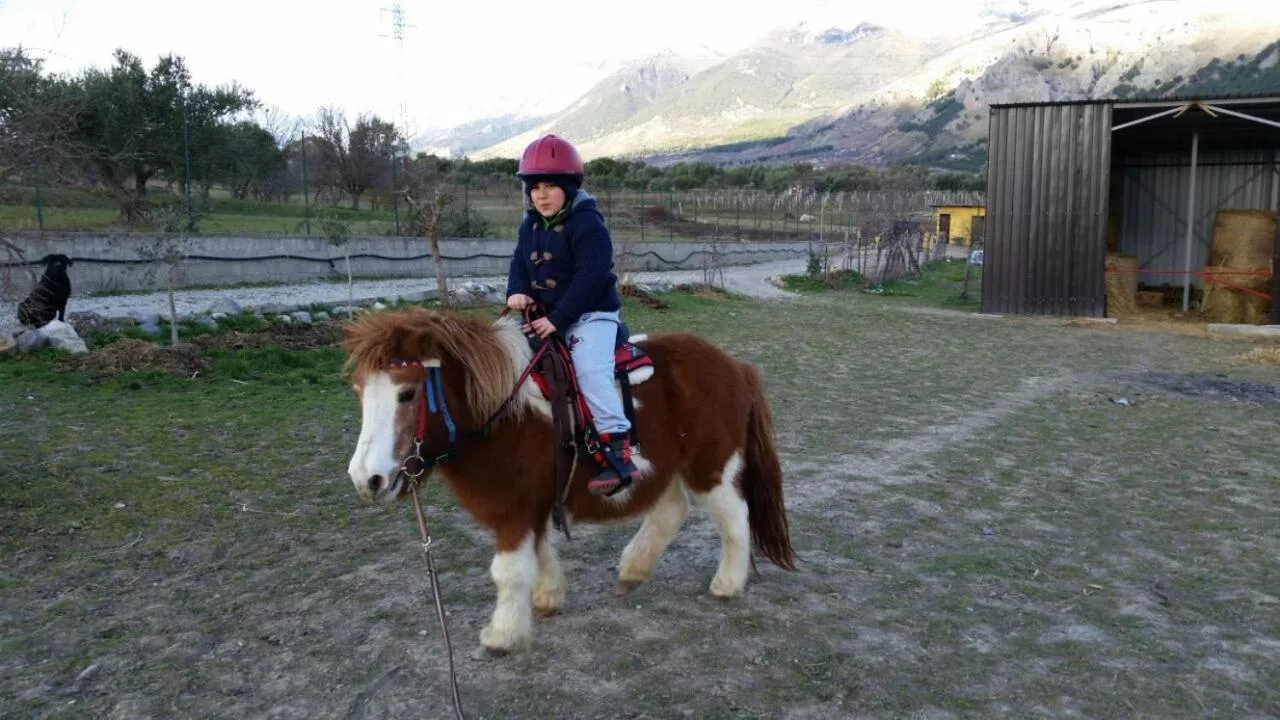 Horse-riding in Montagne Rocciose