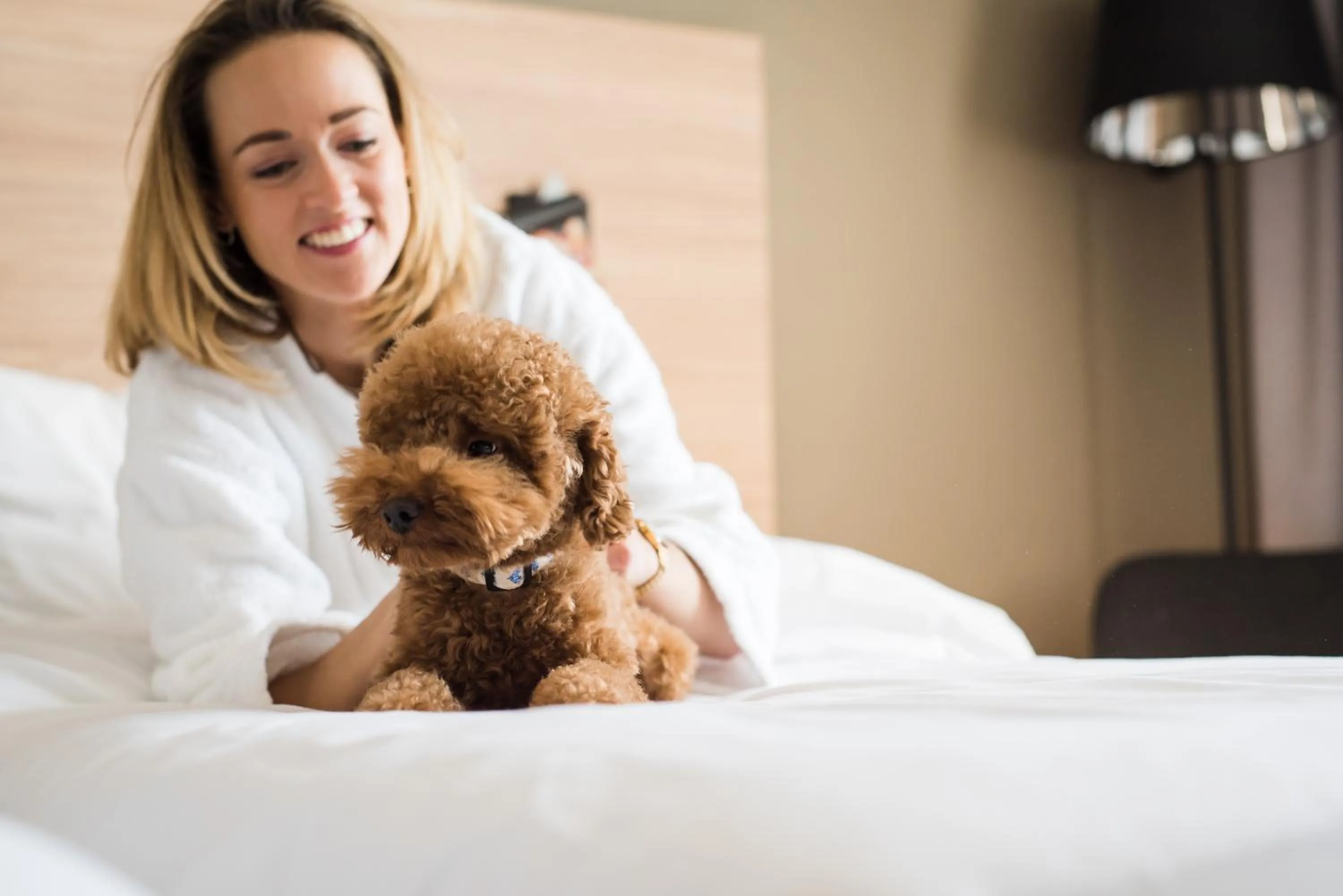 Pets, Bed in Park Inn by Radisson Vilnius Airport Hotel & Conference Centre