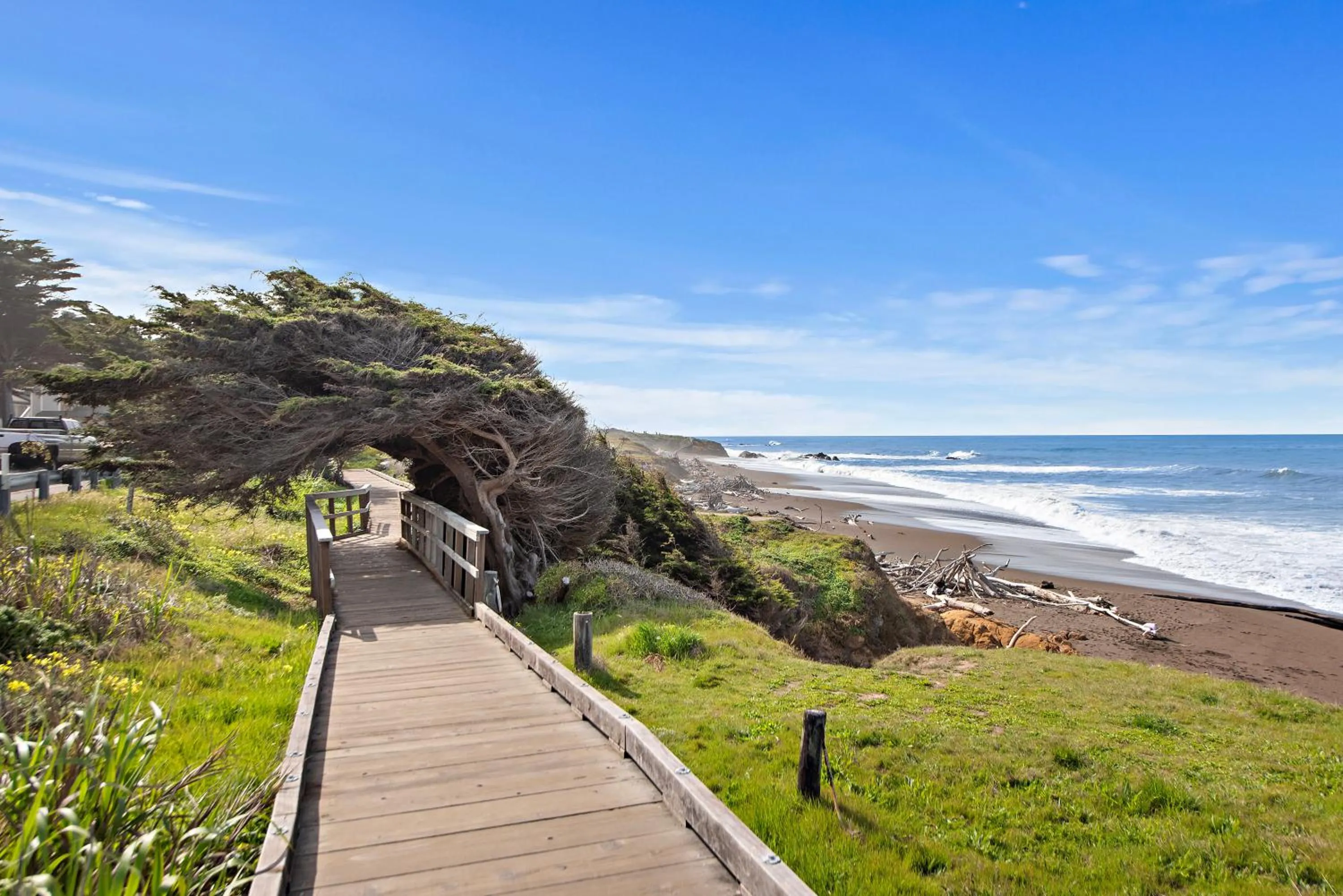 Natural landscape in The Morgan San Simeon - Cambria by Hearst Castle
