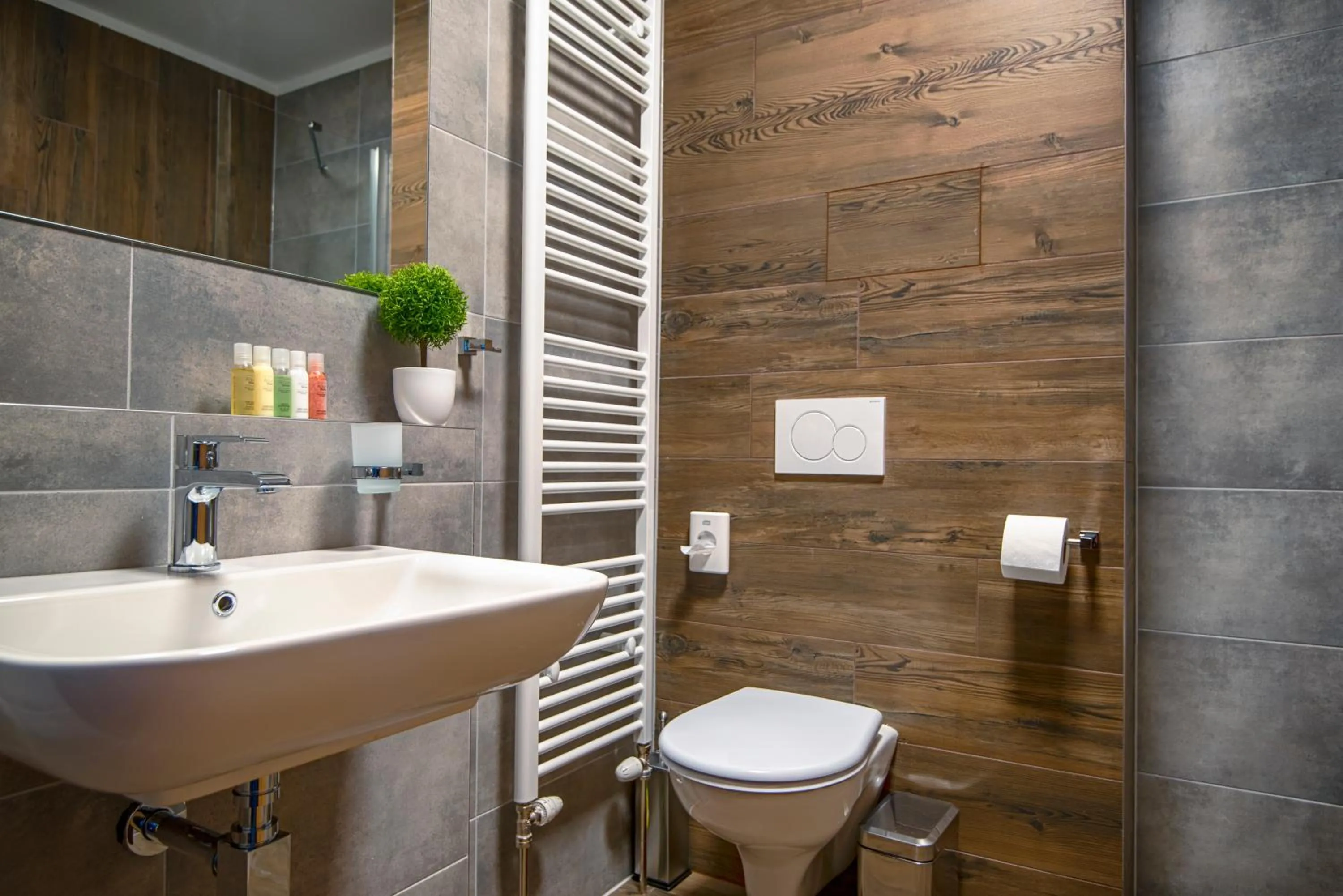 Bathroom in Hotel Mamut