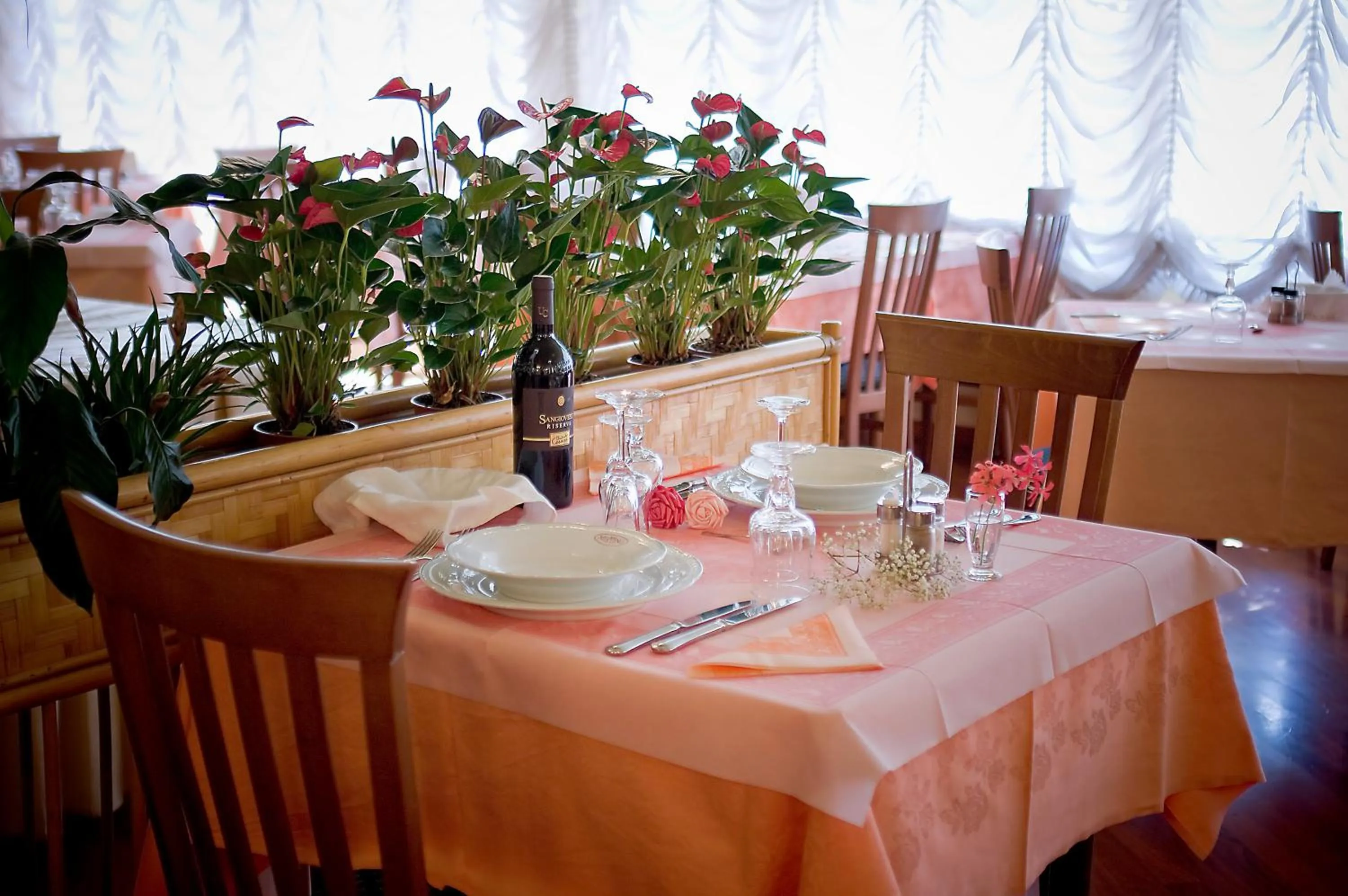 Restaurant/places to eat in Hotel Meeting