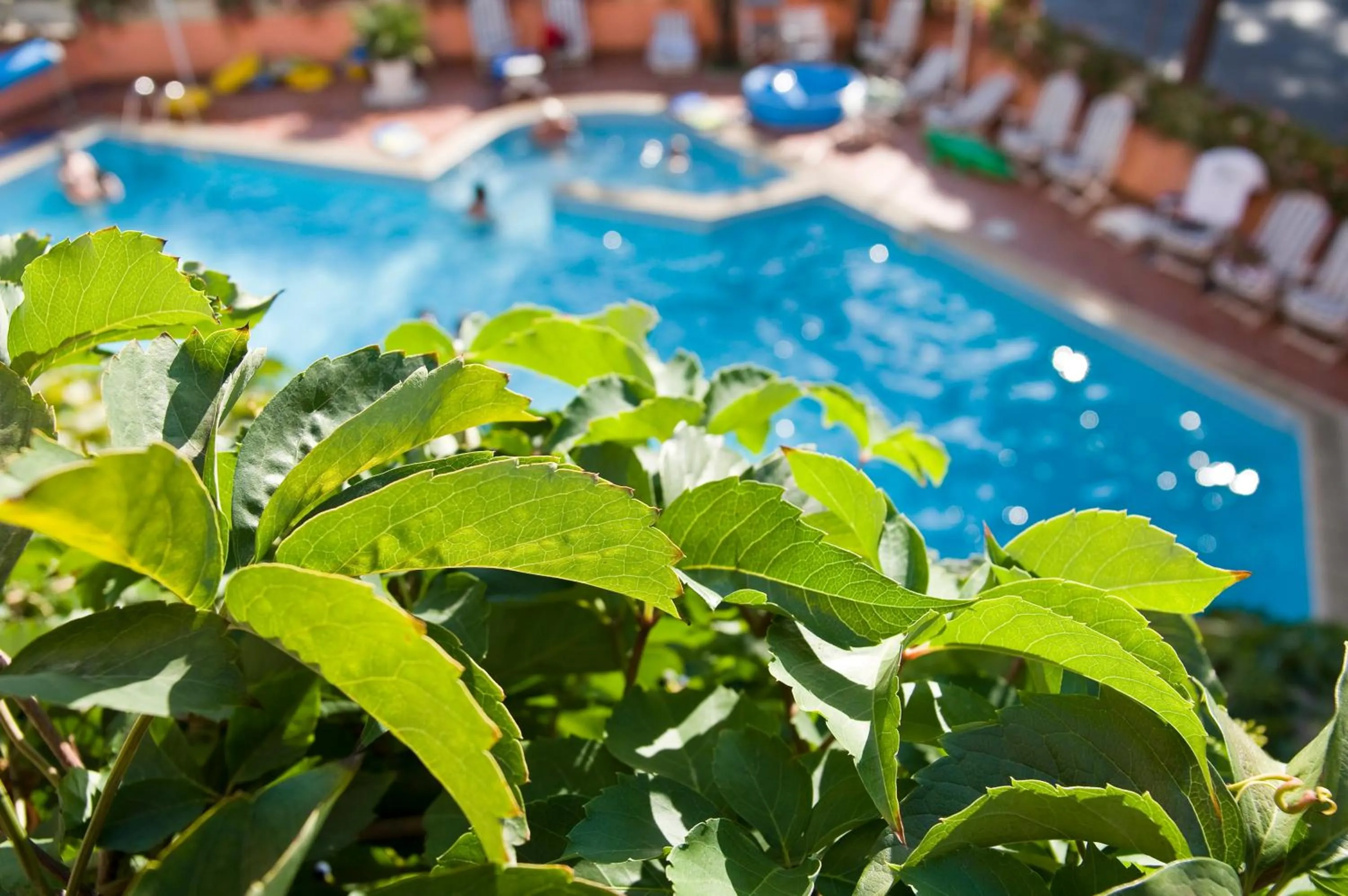 Pool view in Hotel Meeting