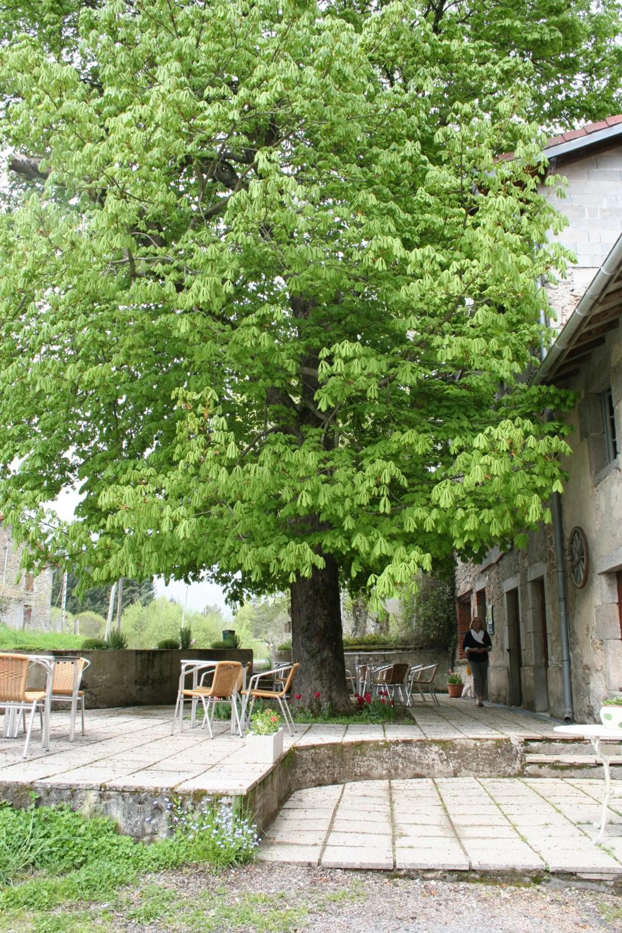 Facade/entrance in Auberge du Précontent