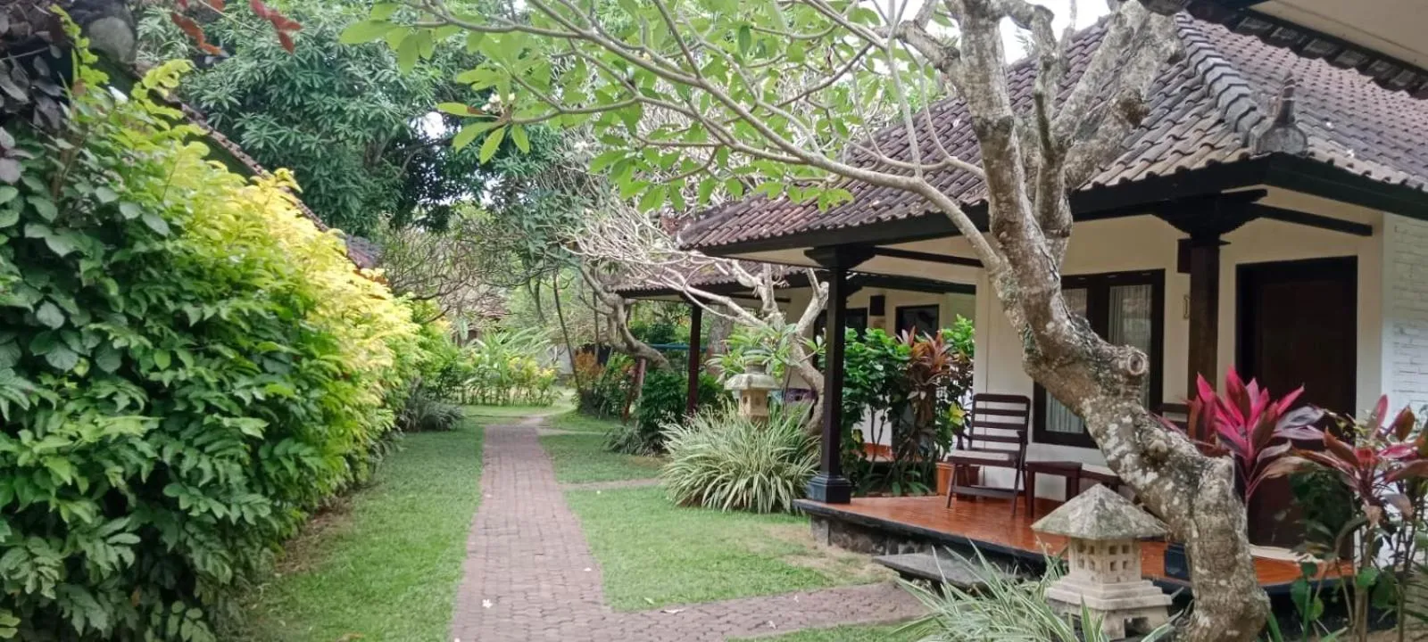 View (from property/room) in Lotus Bungalows