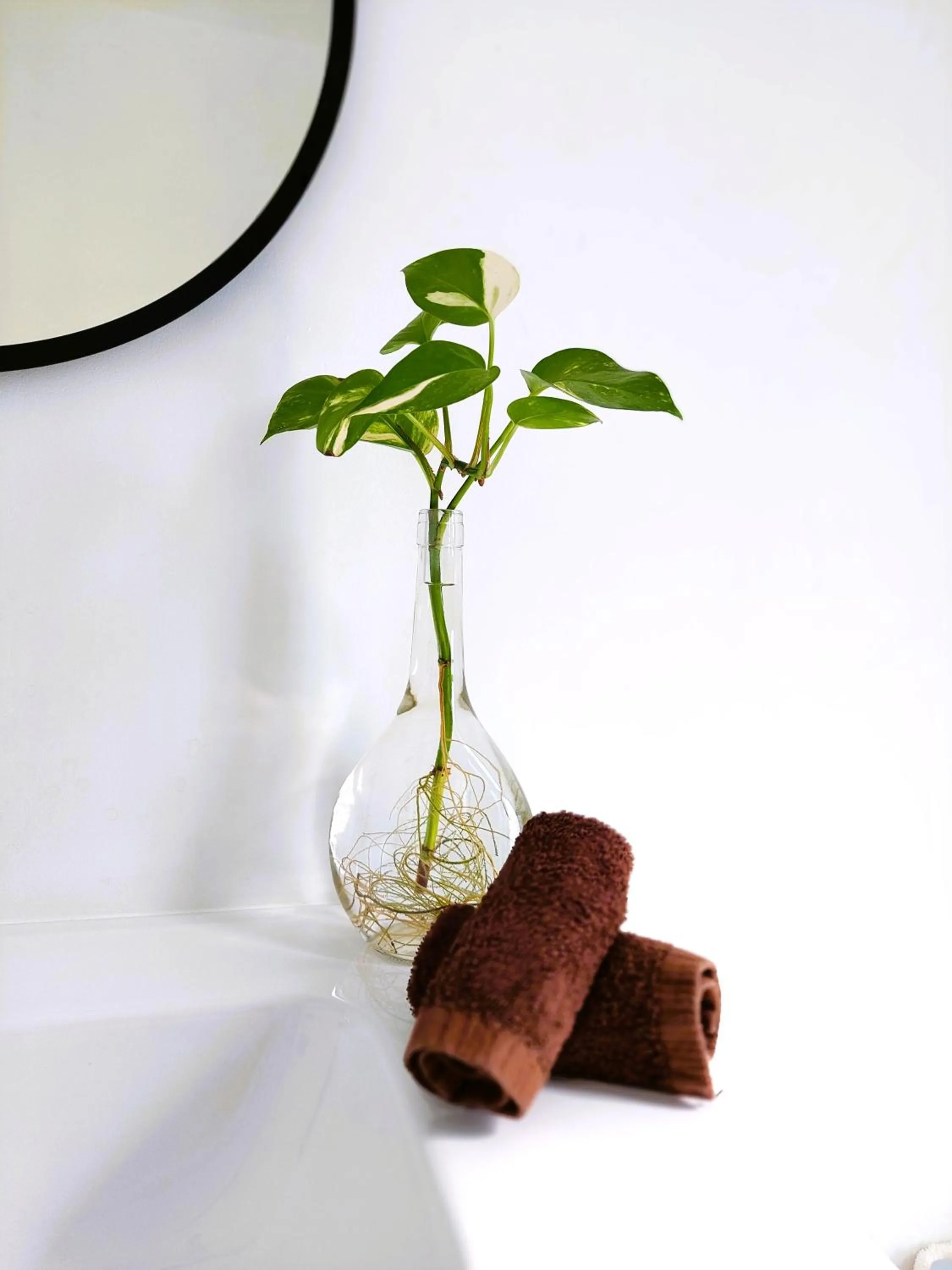 Bathroom in Mana EcoRetreat