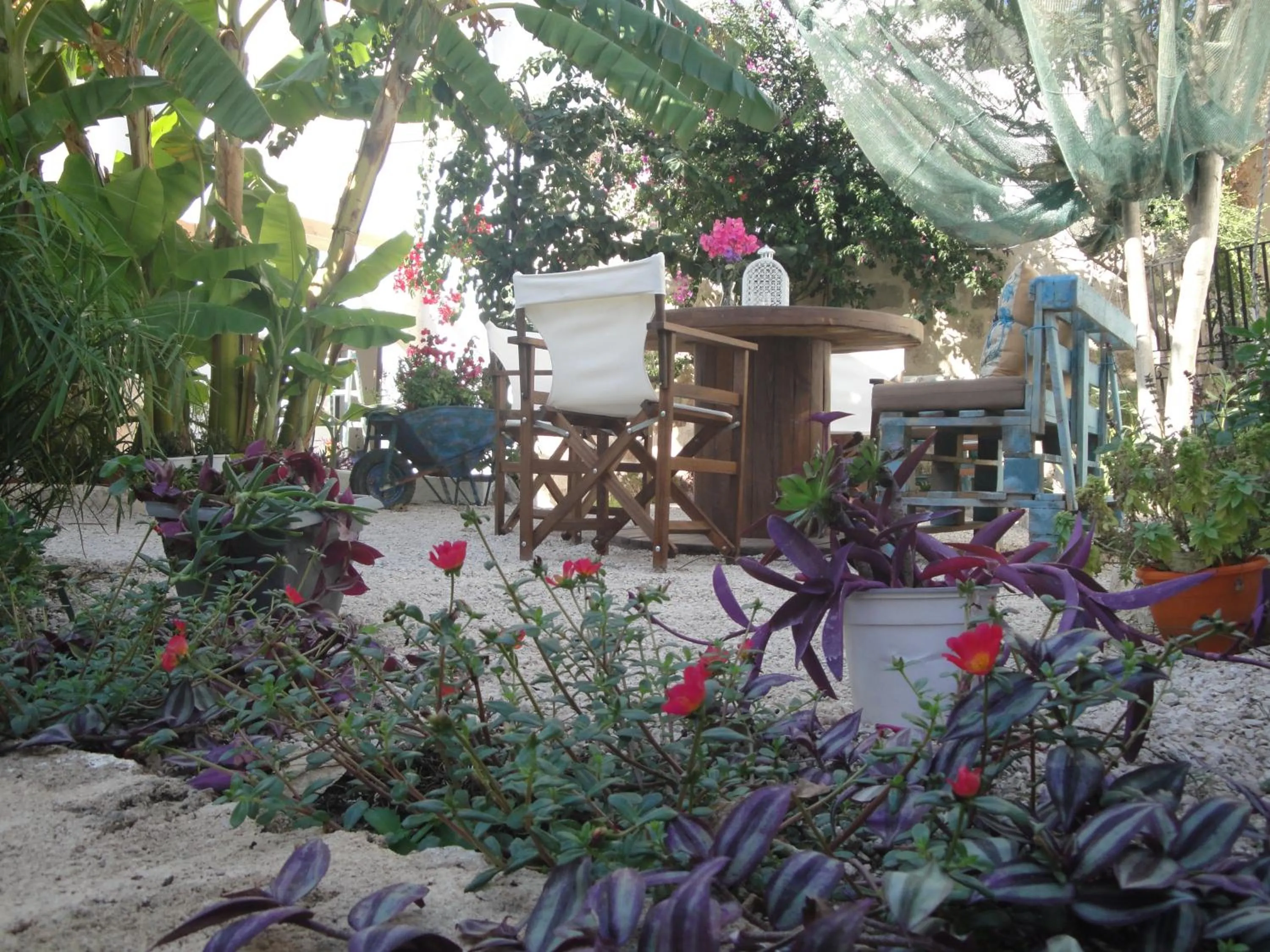Garden in Medieval Inn