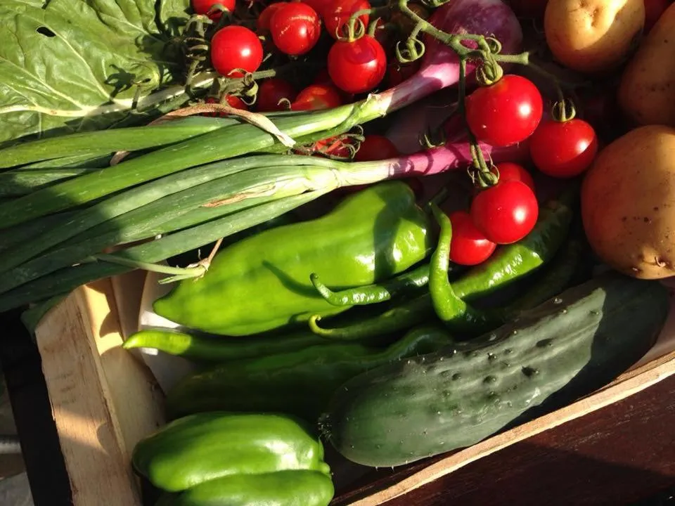 Food in Hotel & Restaurant Les Bergeries d'Alata