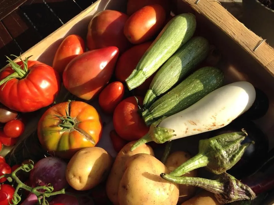 Food in Hotel & Restaurant Les Bergeries d'Alata