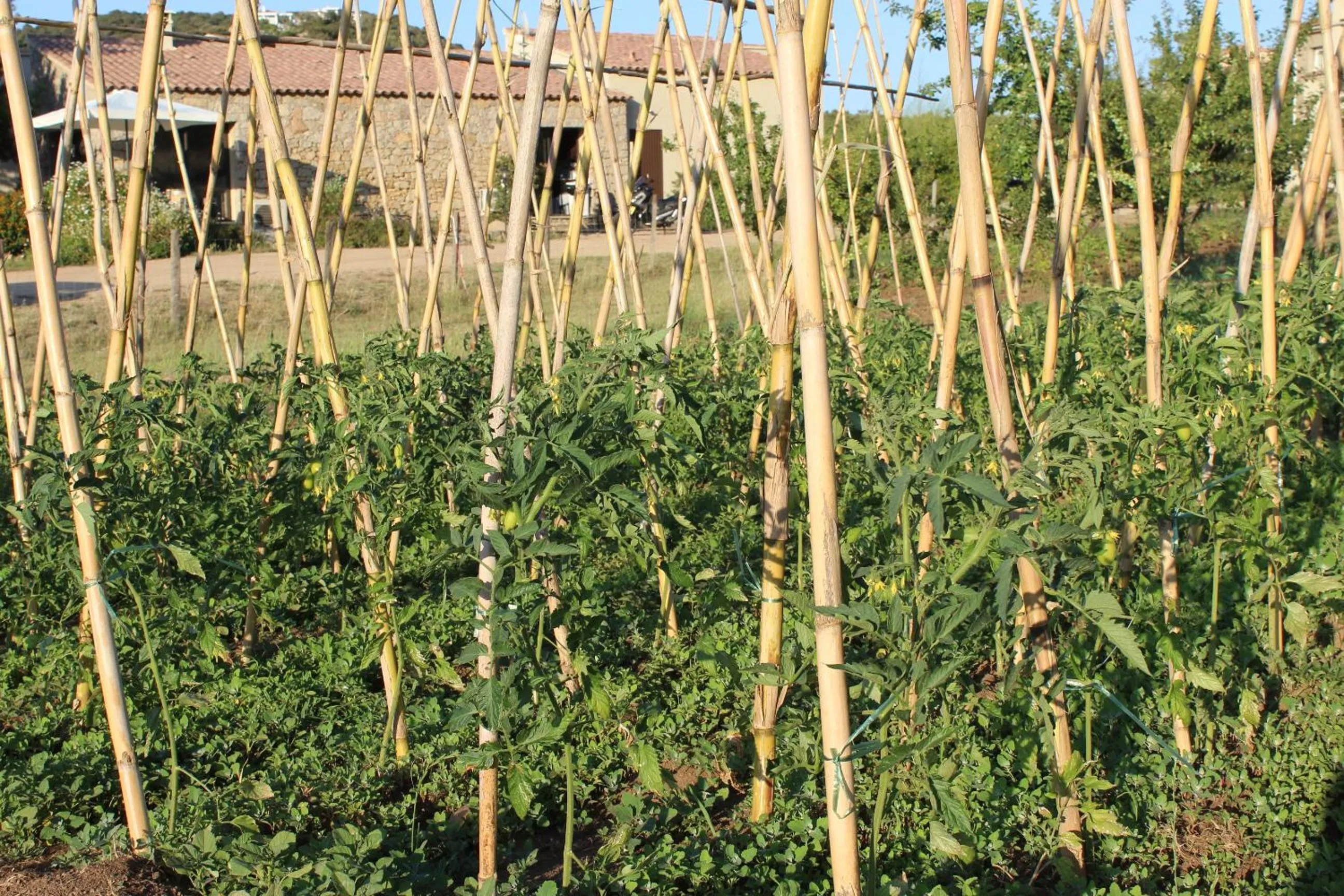 Garden in Hotel & Restaurant Les Bergeries d'Alata