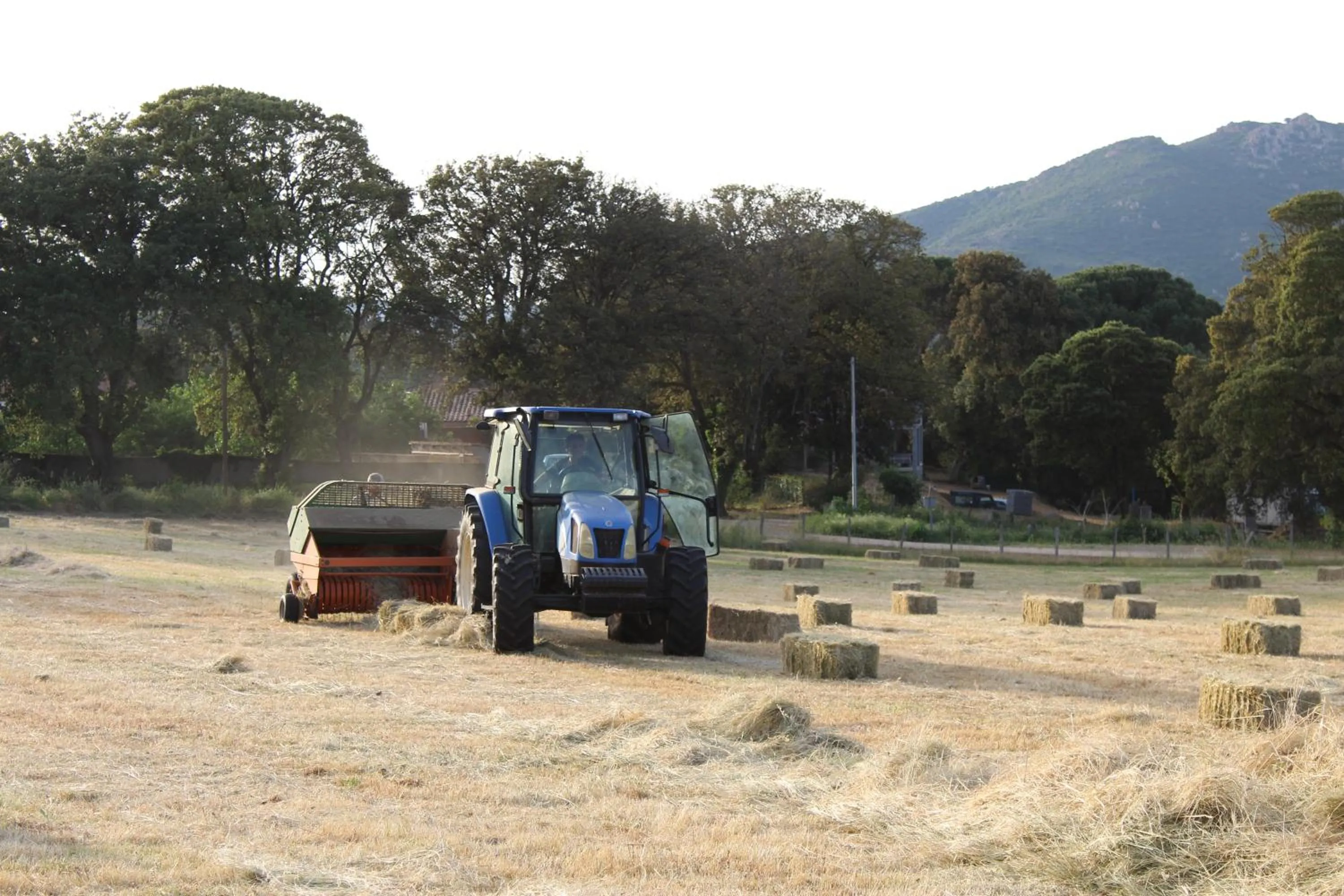 Day in Hotel & Restaurant Les Bergeries d'Alata