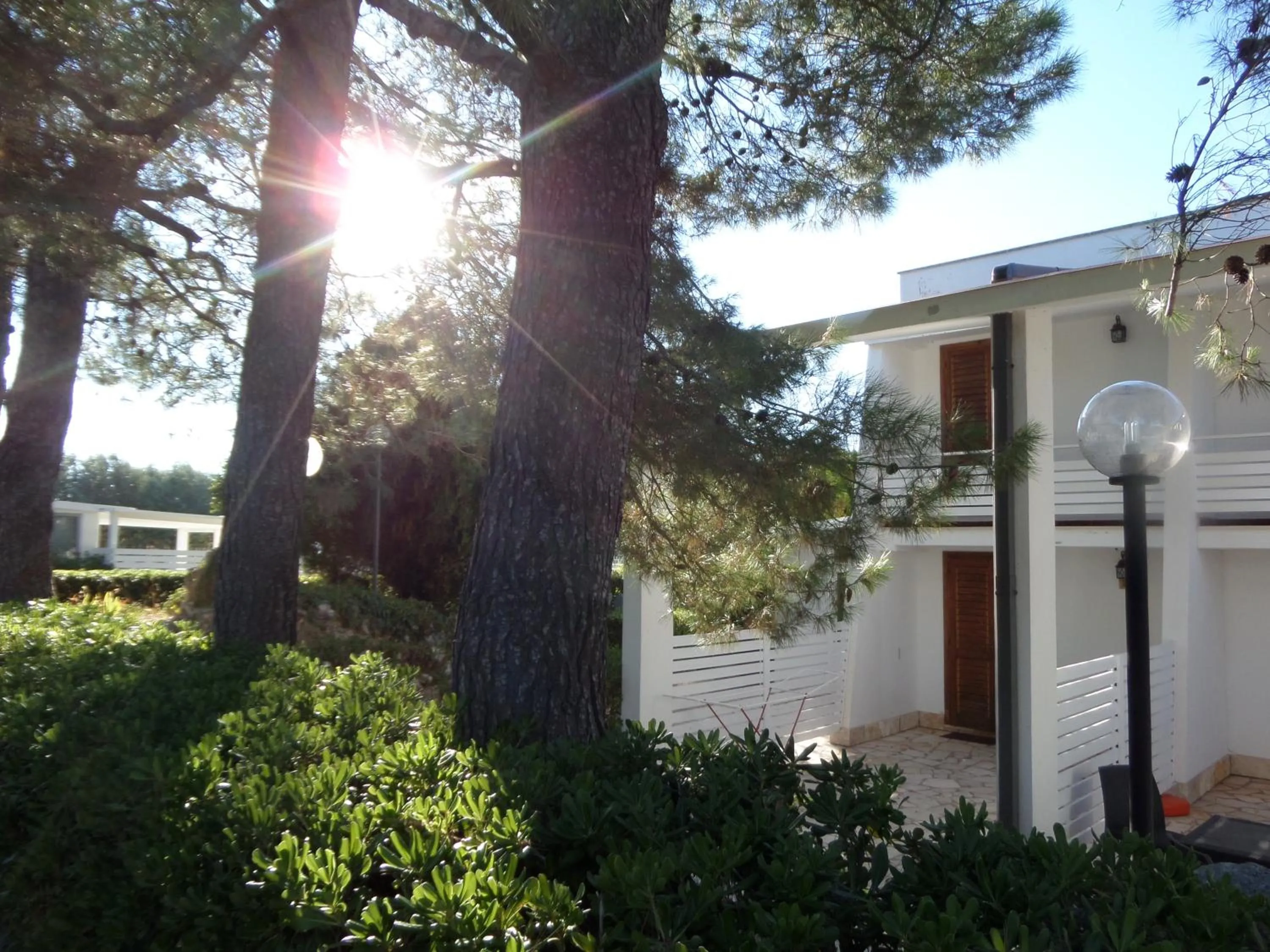 Property building in Raggio Di Sole
