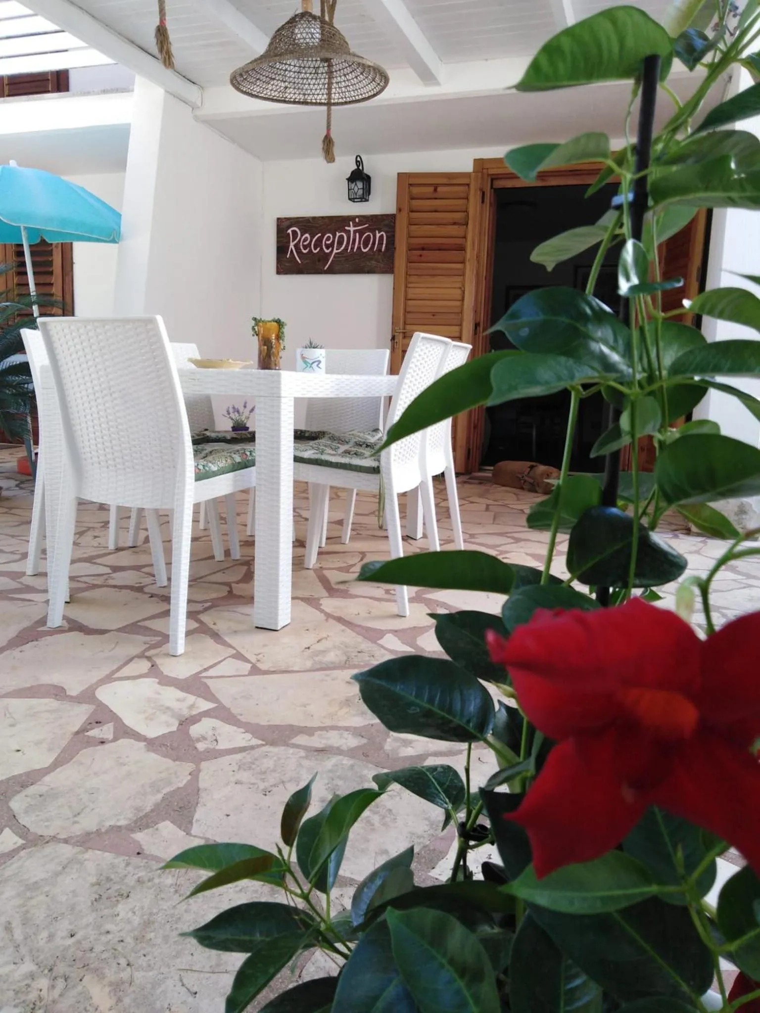 hair dresser in Raggio Di Sole