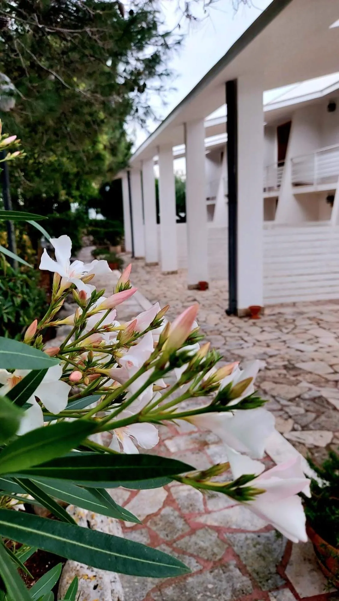 Property building in Raggio Di Sole