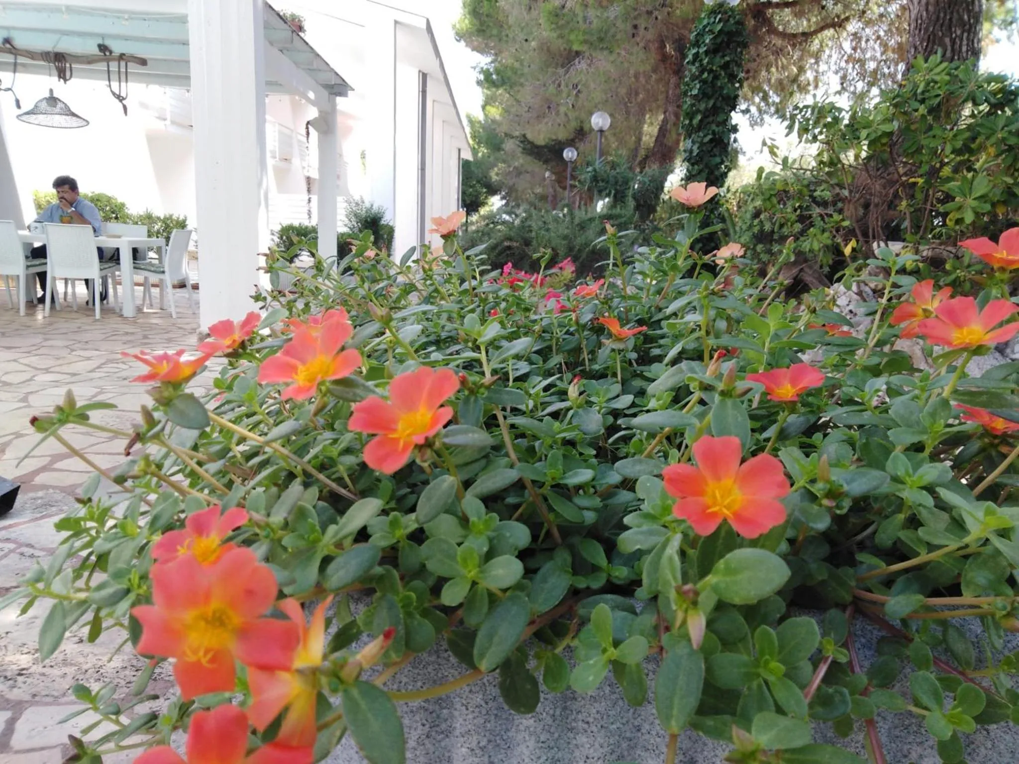 Garden view in Raggio Di Sole
